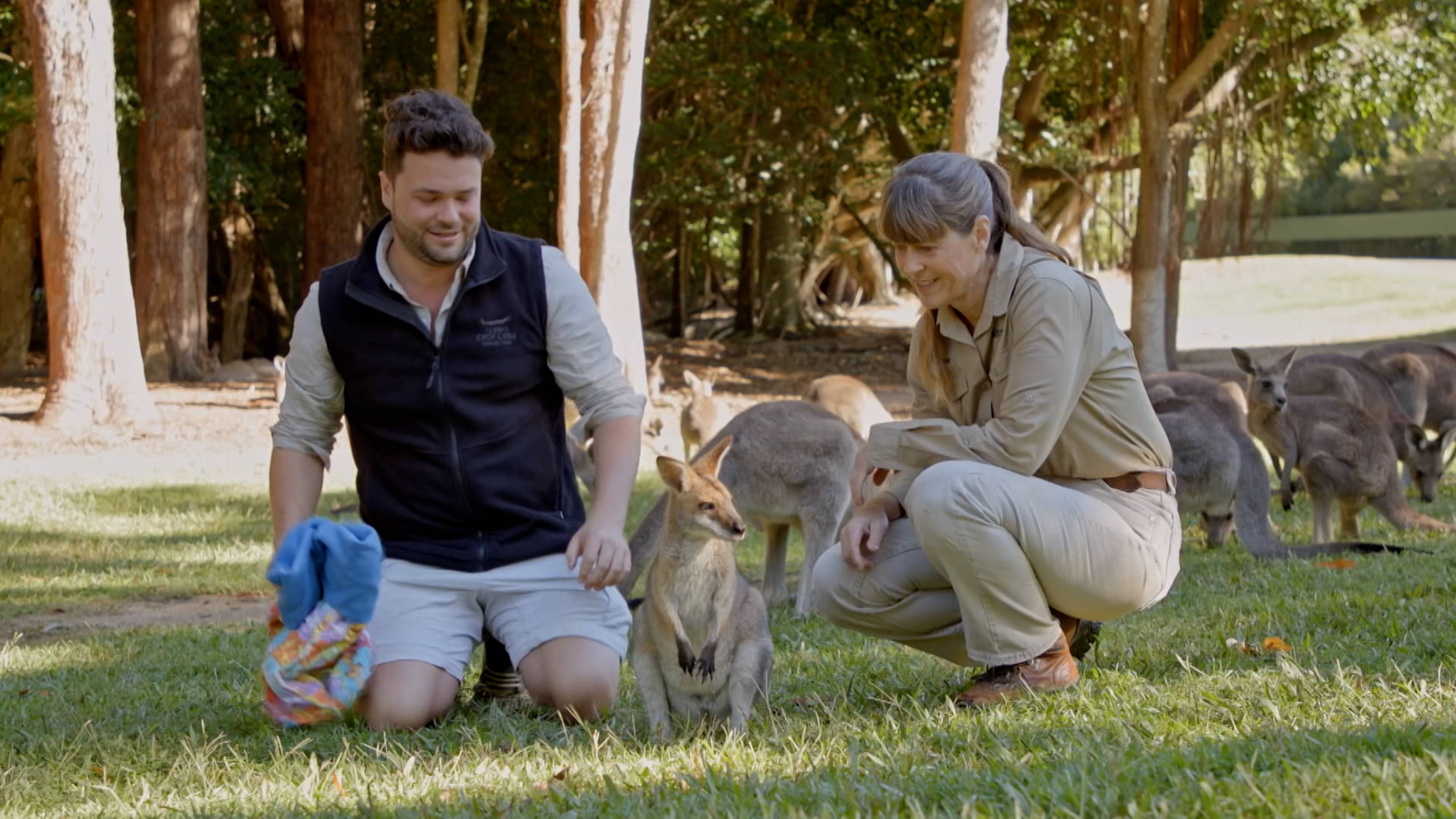 Terri's Wonder Wallaby