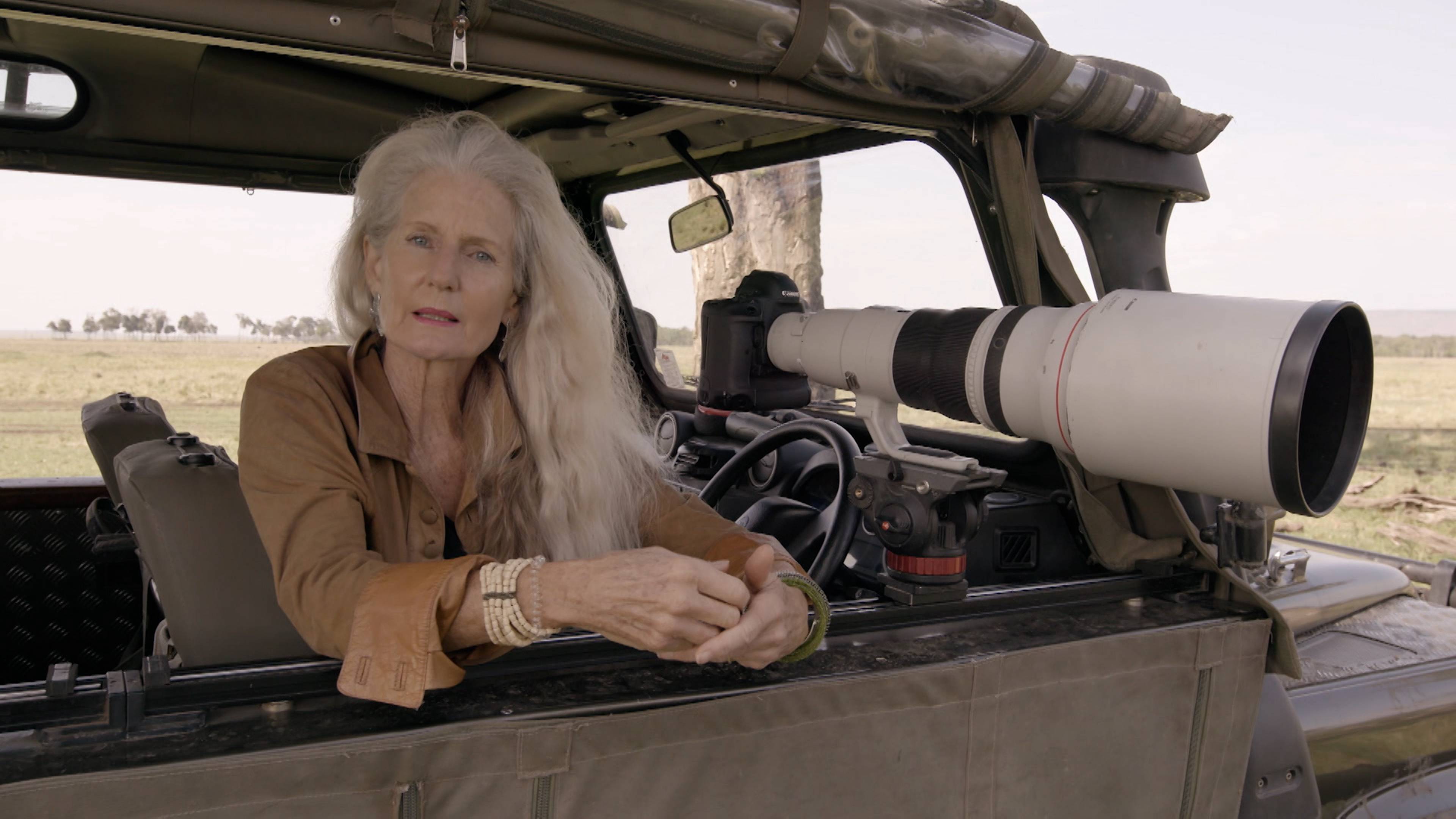 Survivors Of The Savanna