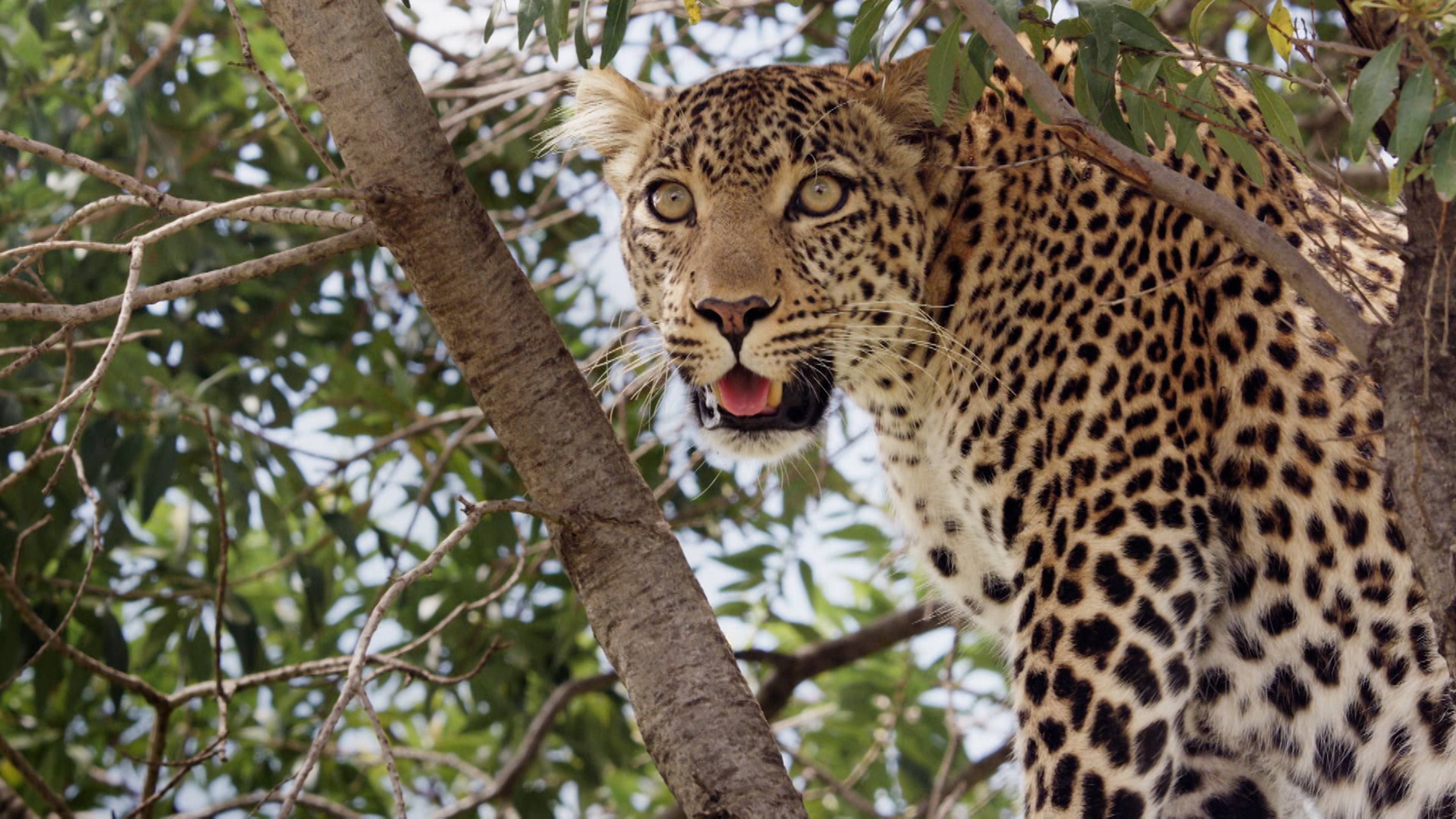 Peril On The Horizon