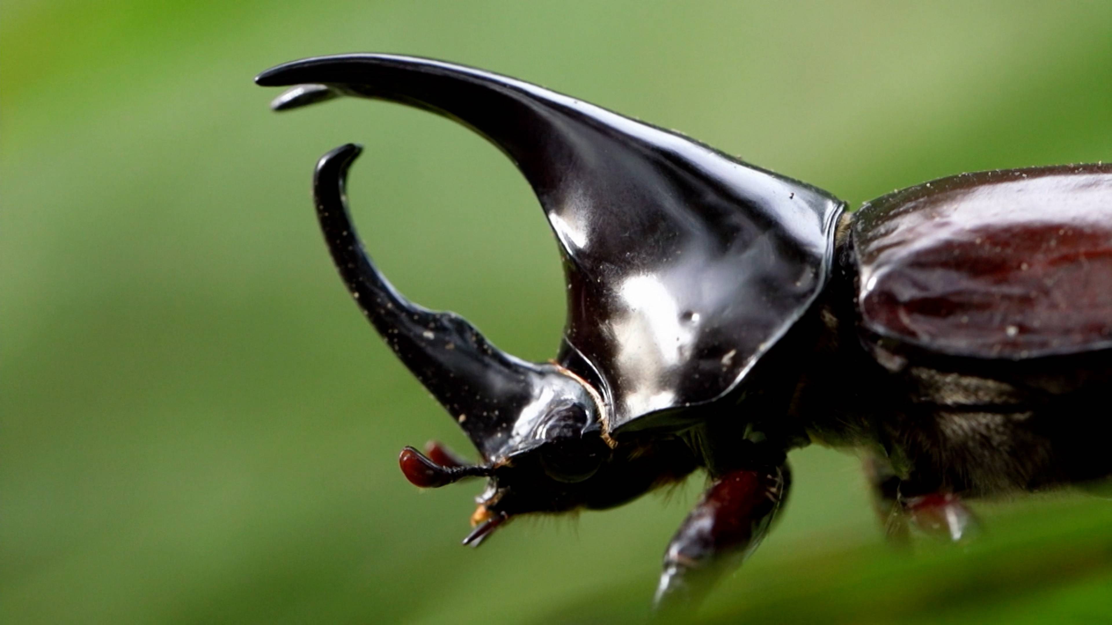 Airborne Battle Tank