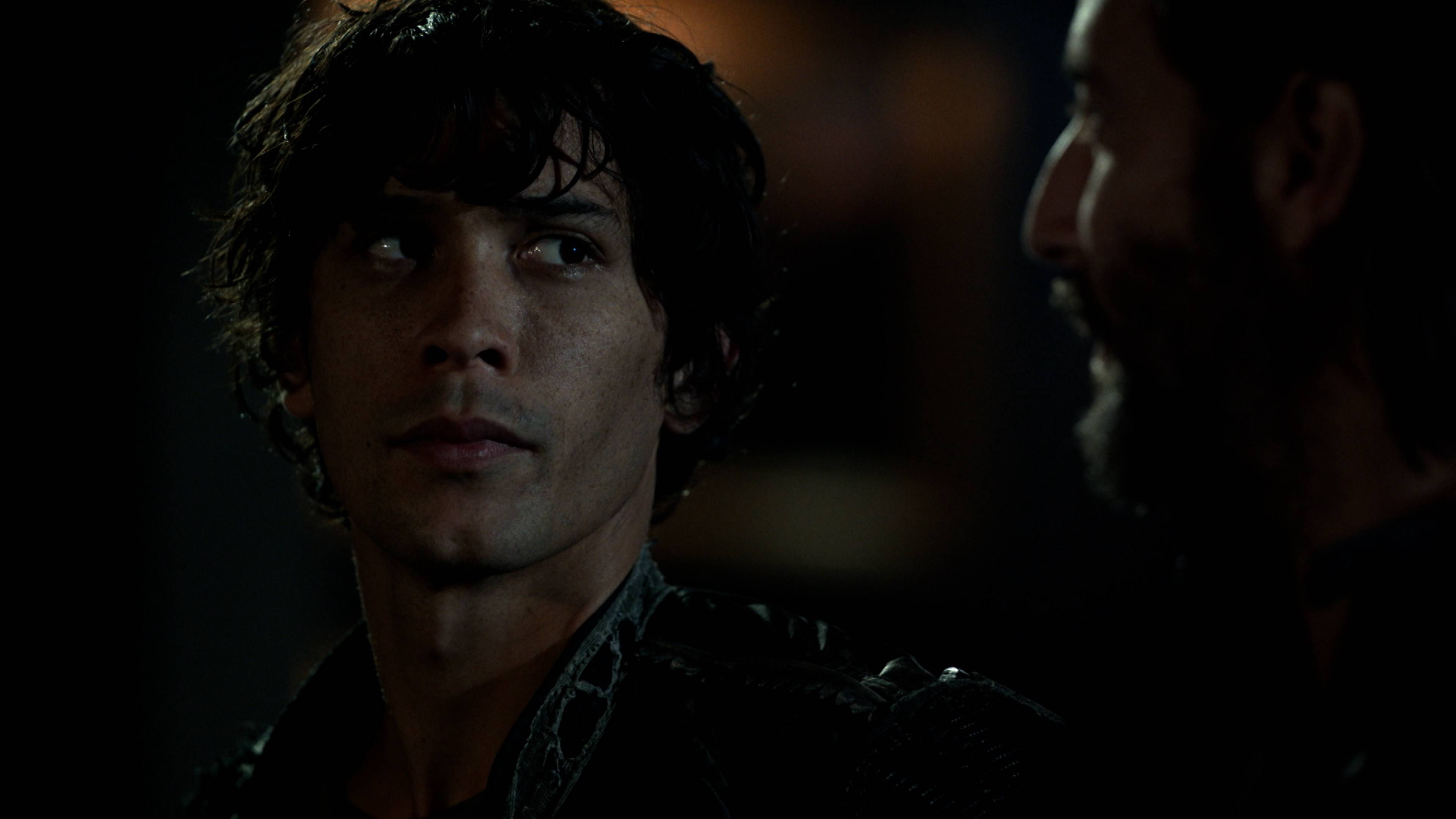 Terms and Conditions