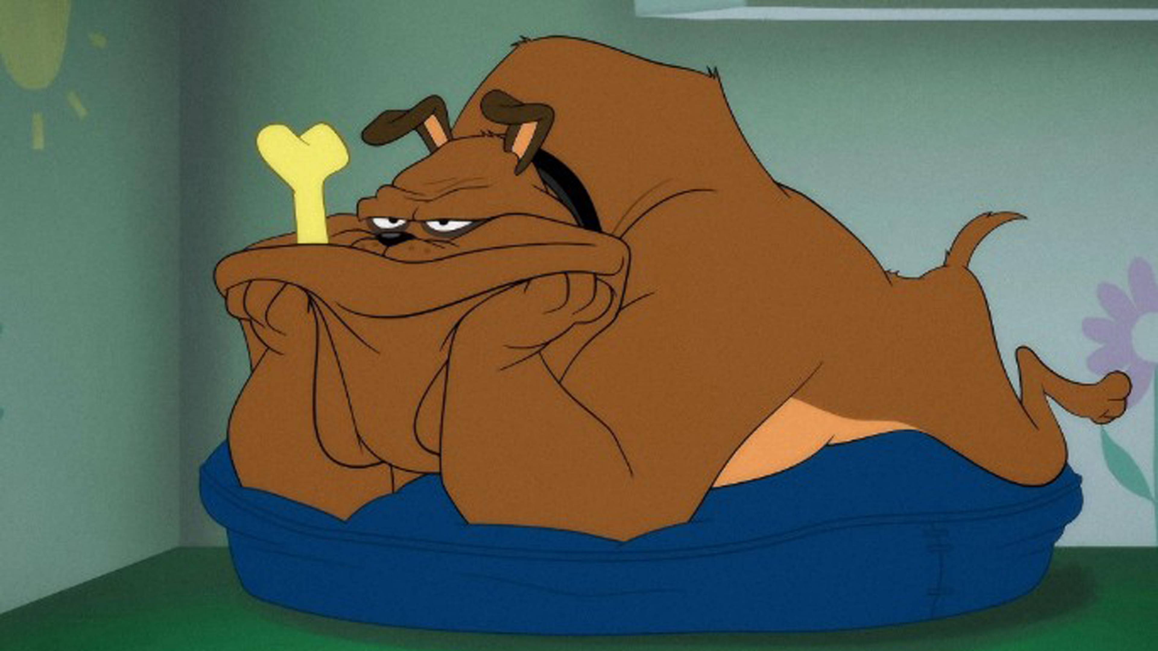 Boarding Games/ Put the Cat Out: Paintings/ Winter