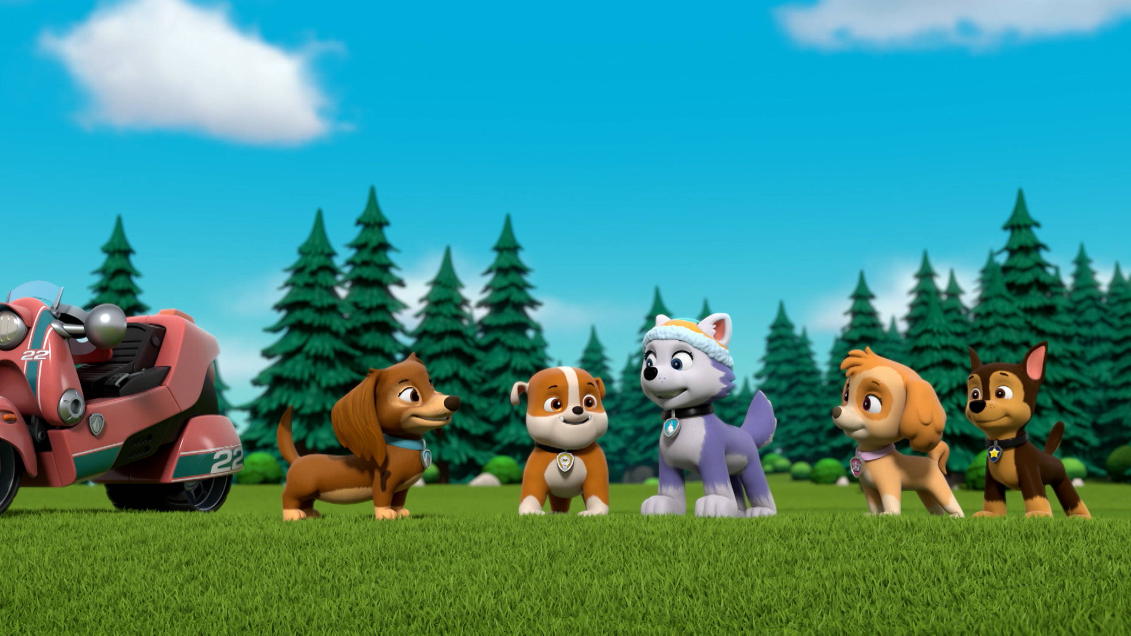 ليبيرتيز فيرست سنو ريسكيو/ فلاينغ يومي