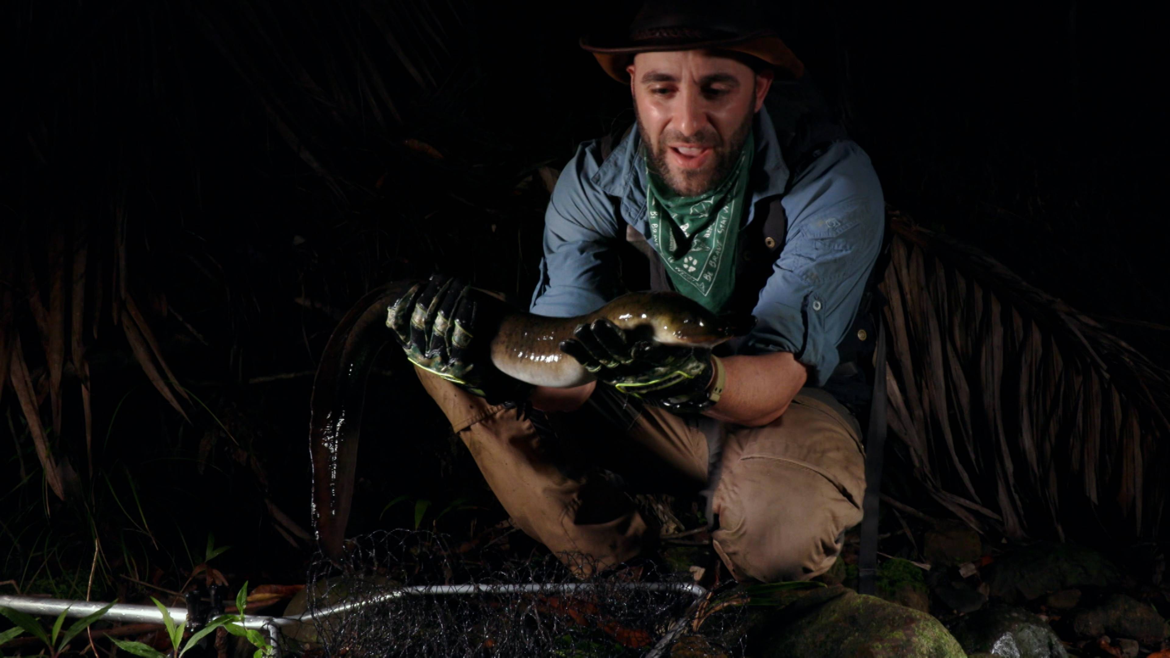 Night Of The River Monsters