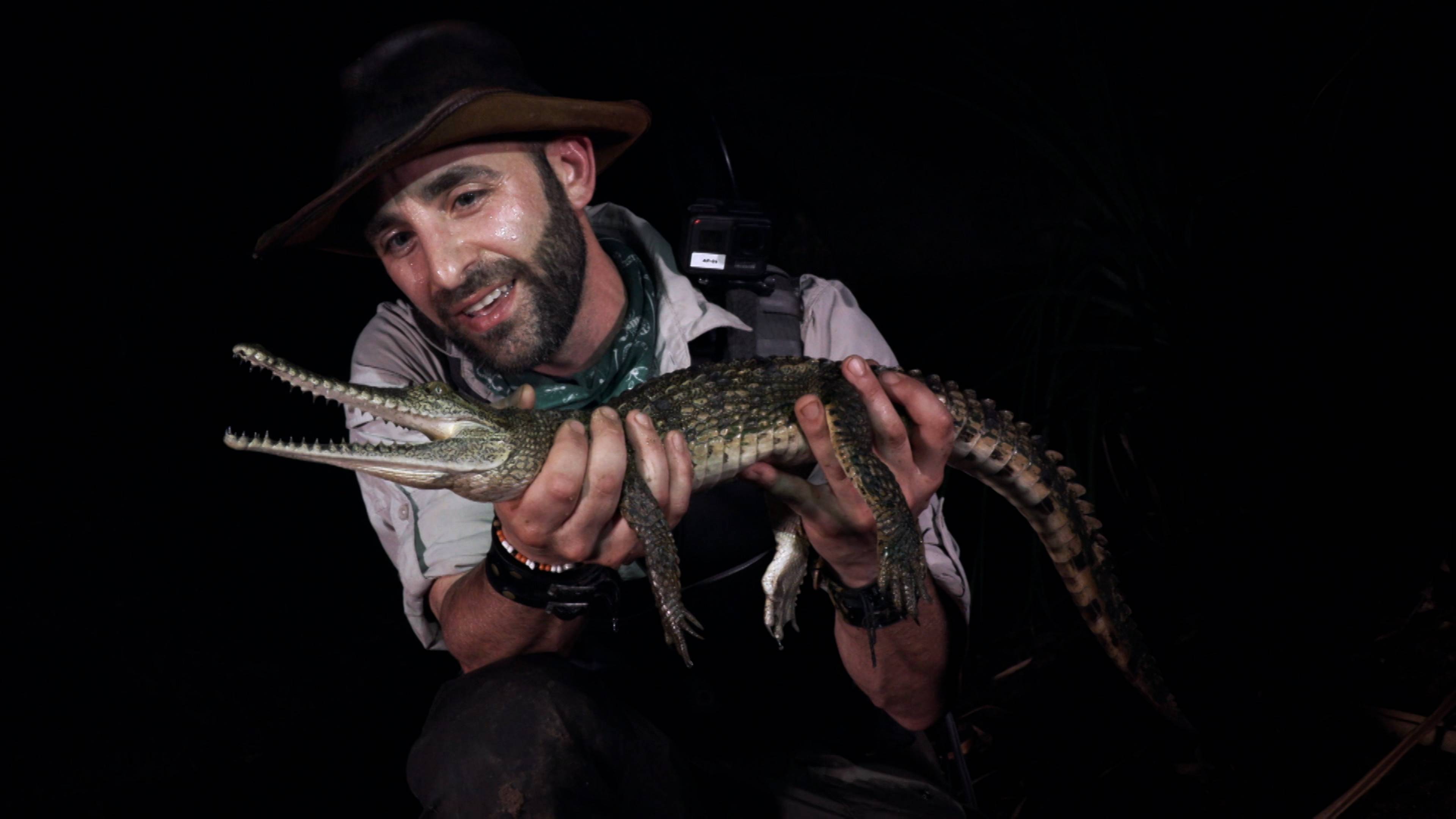 Dragons Of The North