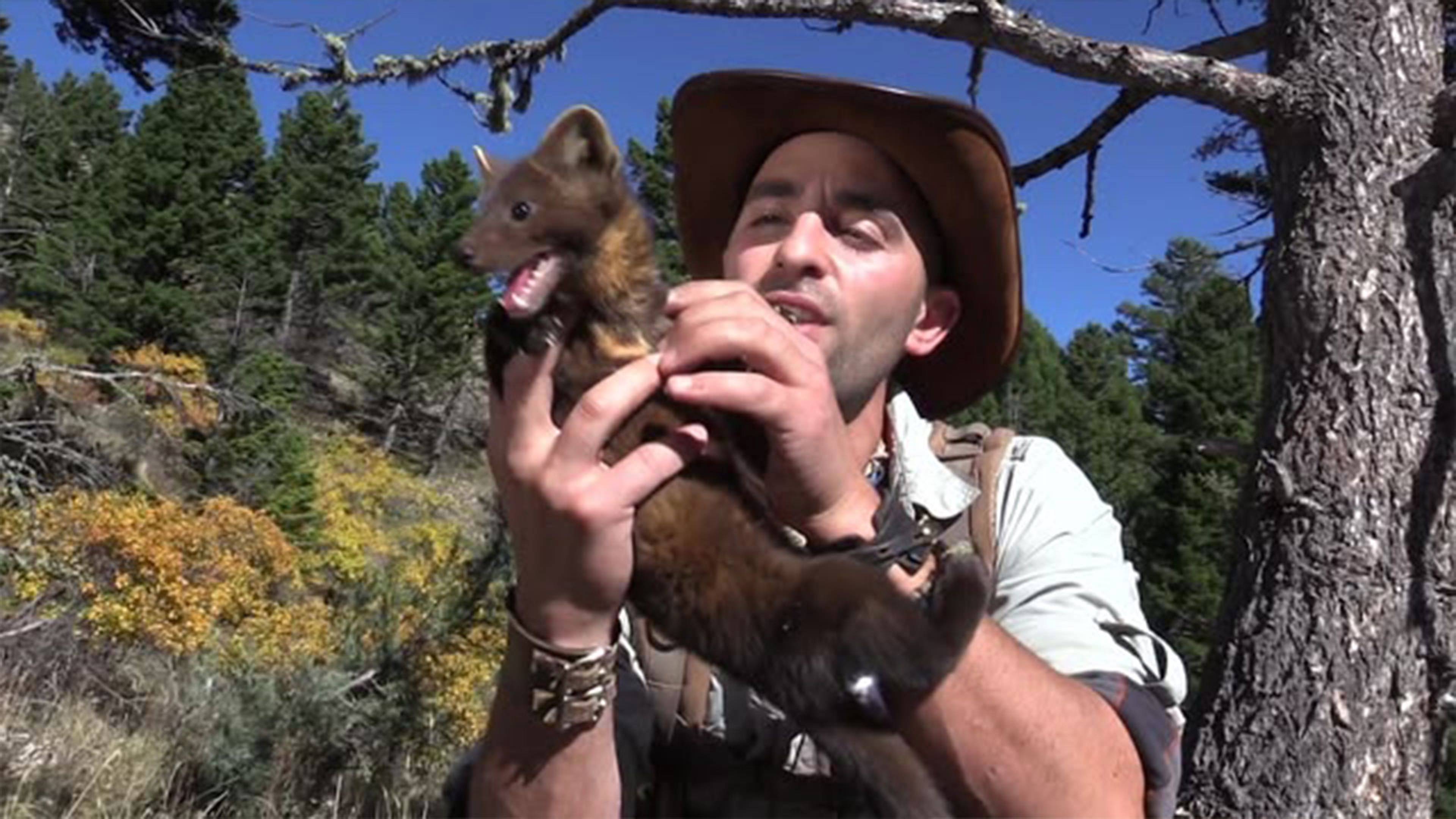 Constricted By A Colossal Python