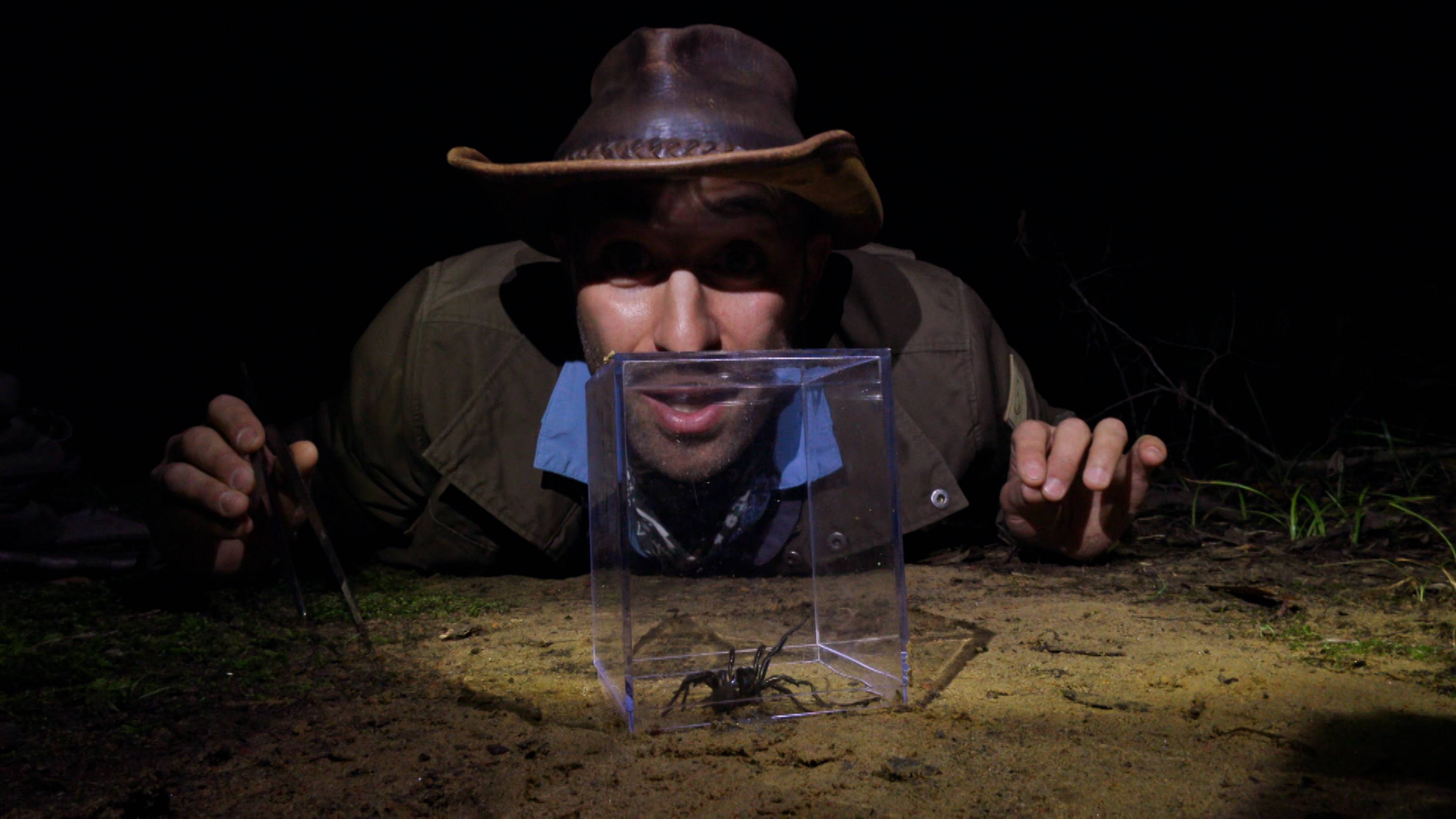 Arachnophobic Nightmares