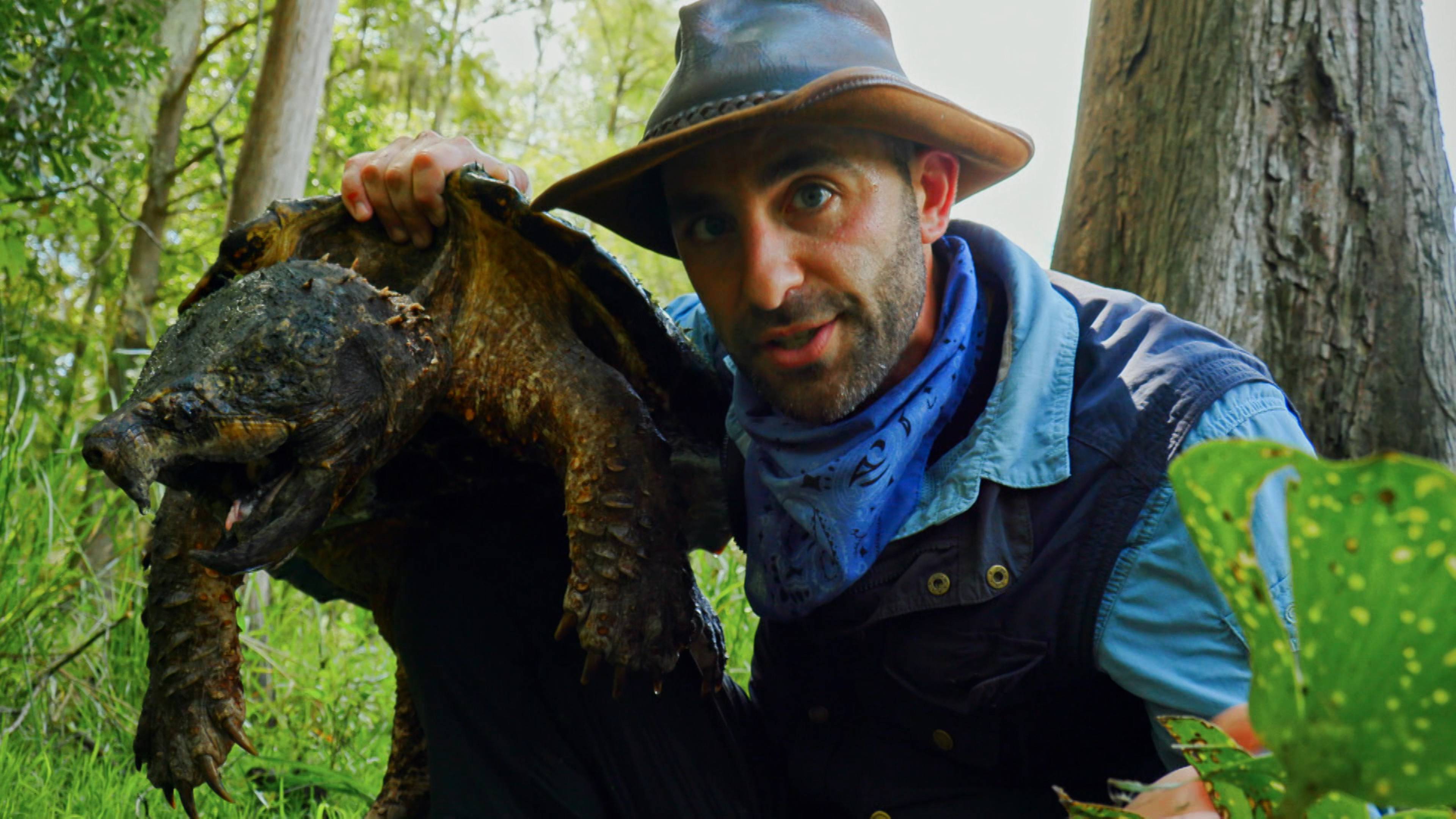 Legendary Turtle Of Texas