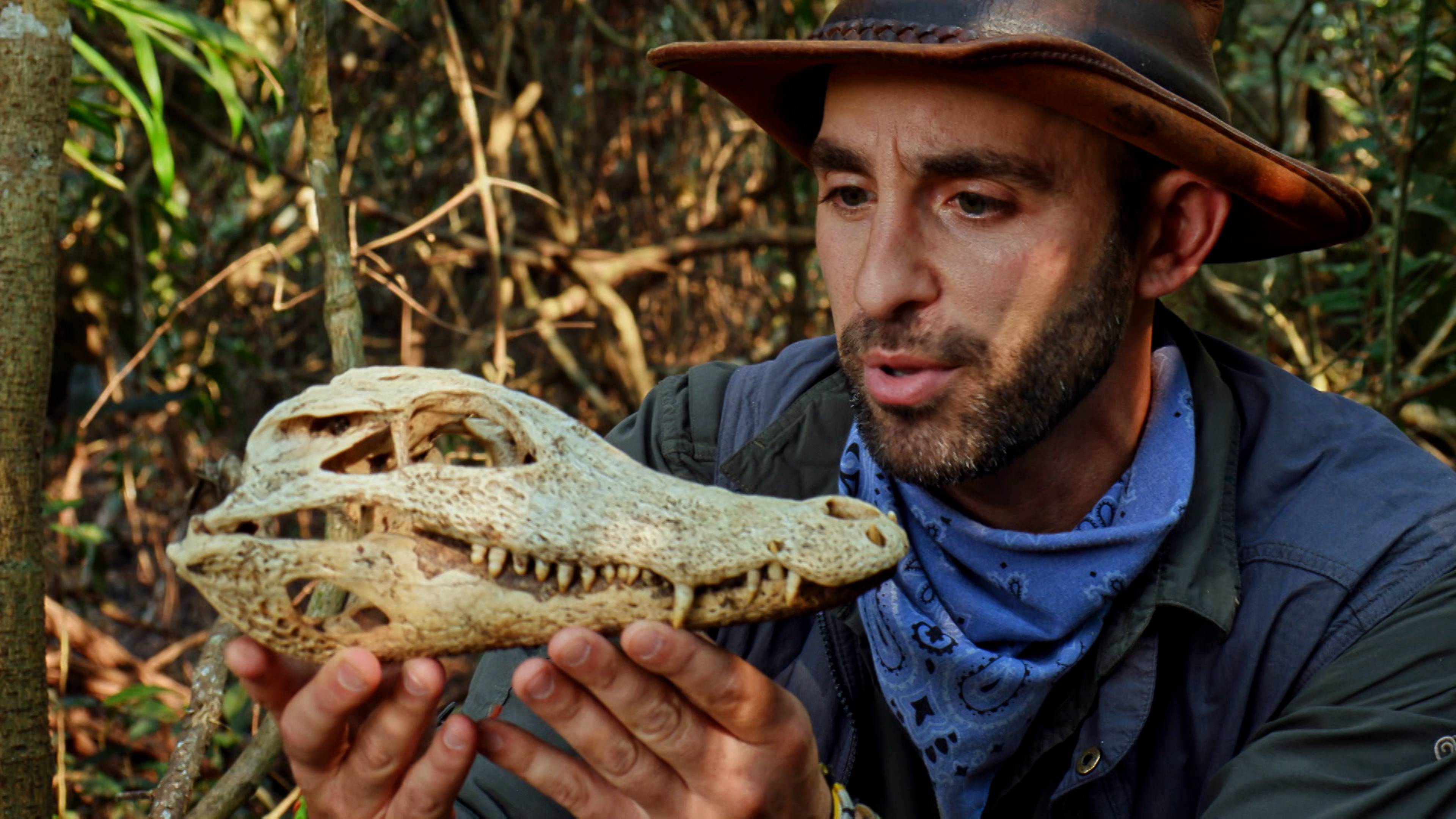 Shadow Of The Jaguar