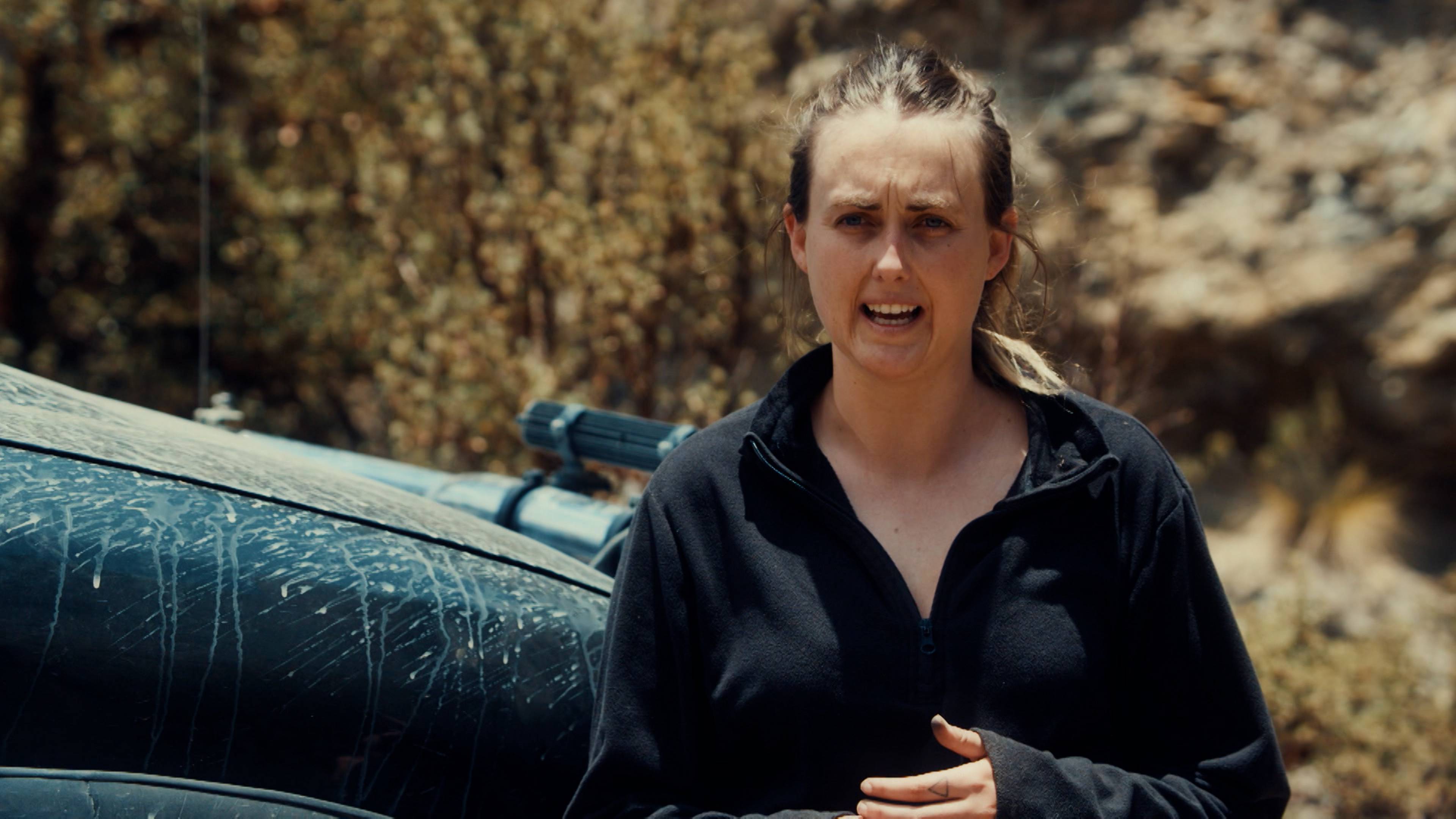 الحصان الأسود