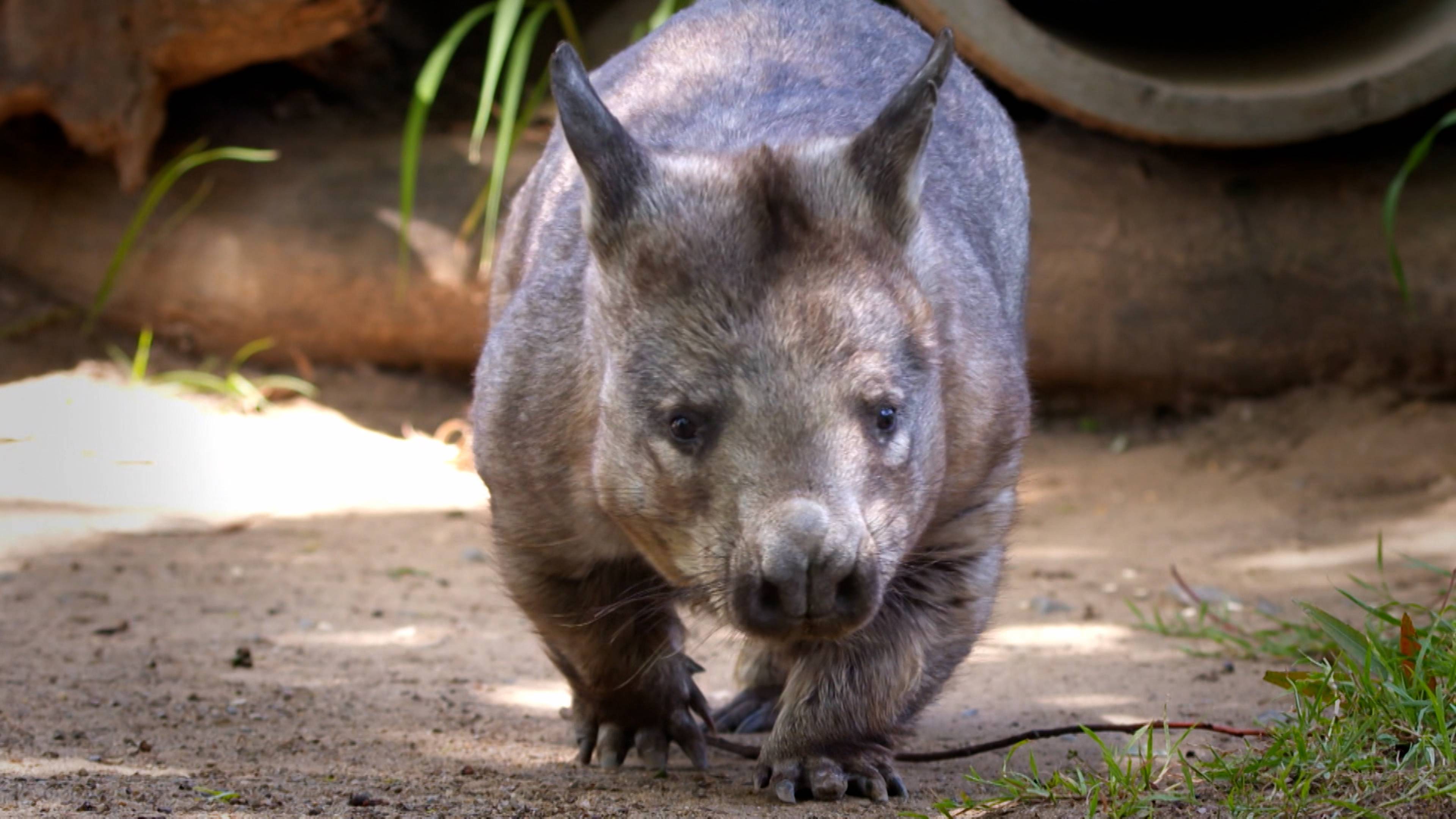 Secret Transformation