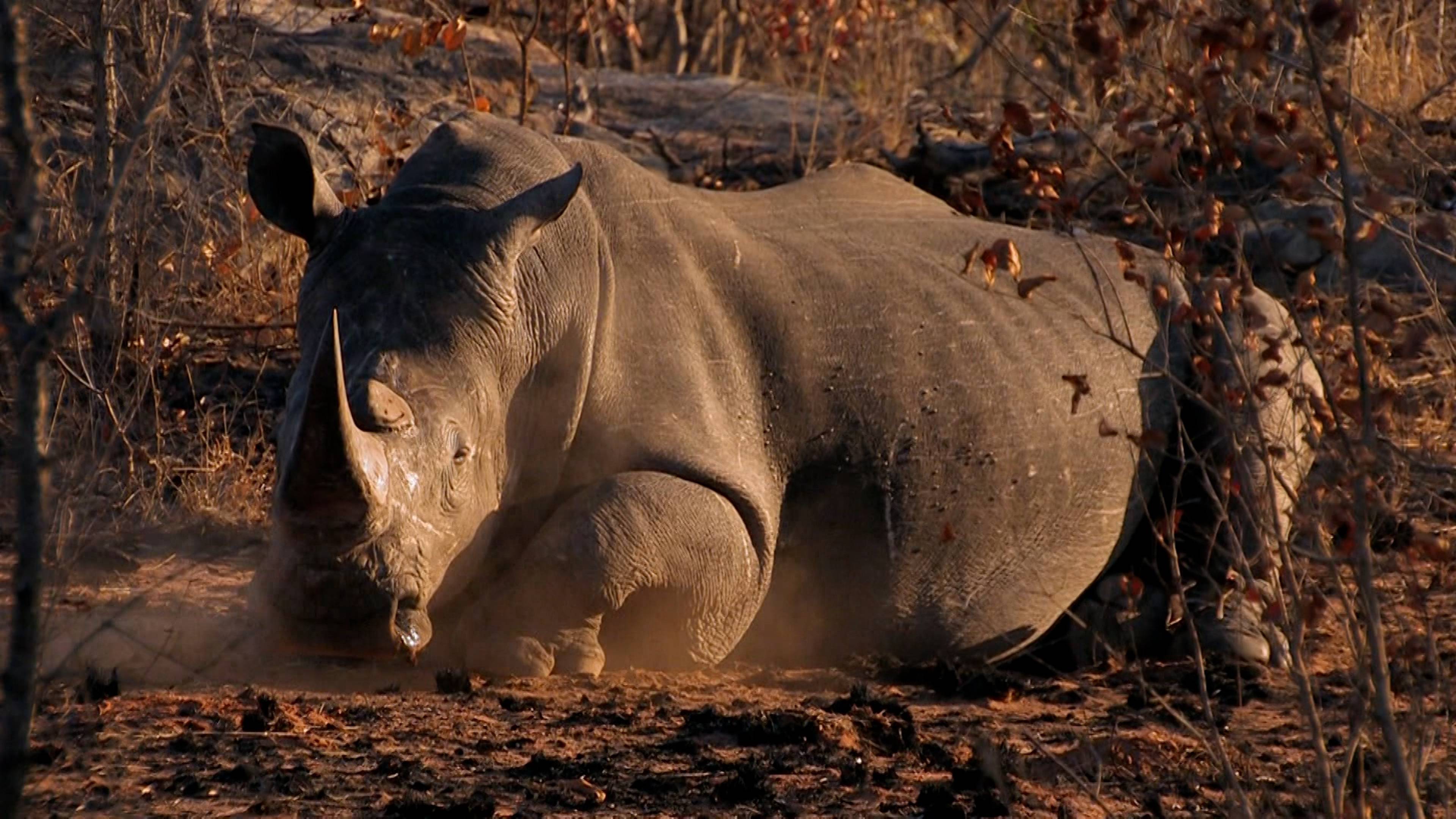 Fast Biters And Fish Snipers