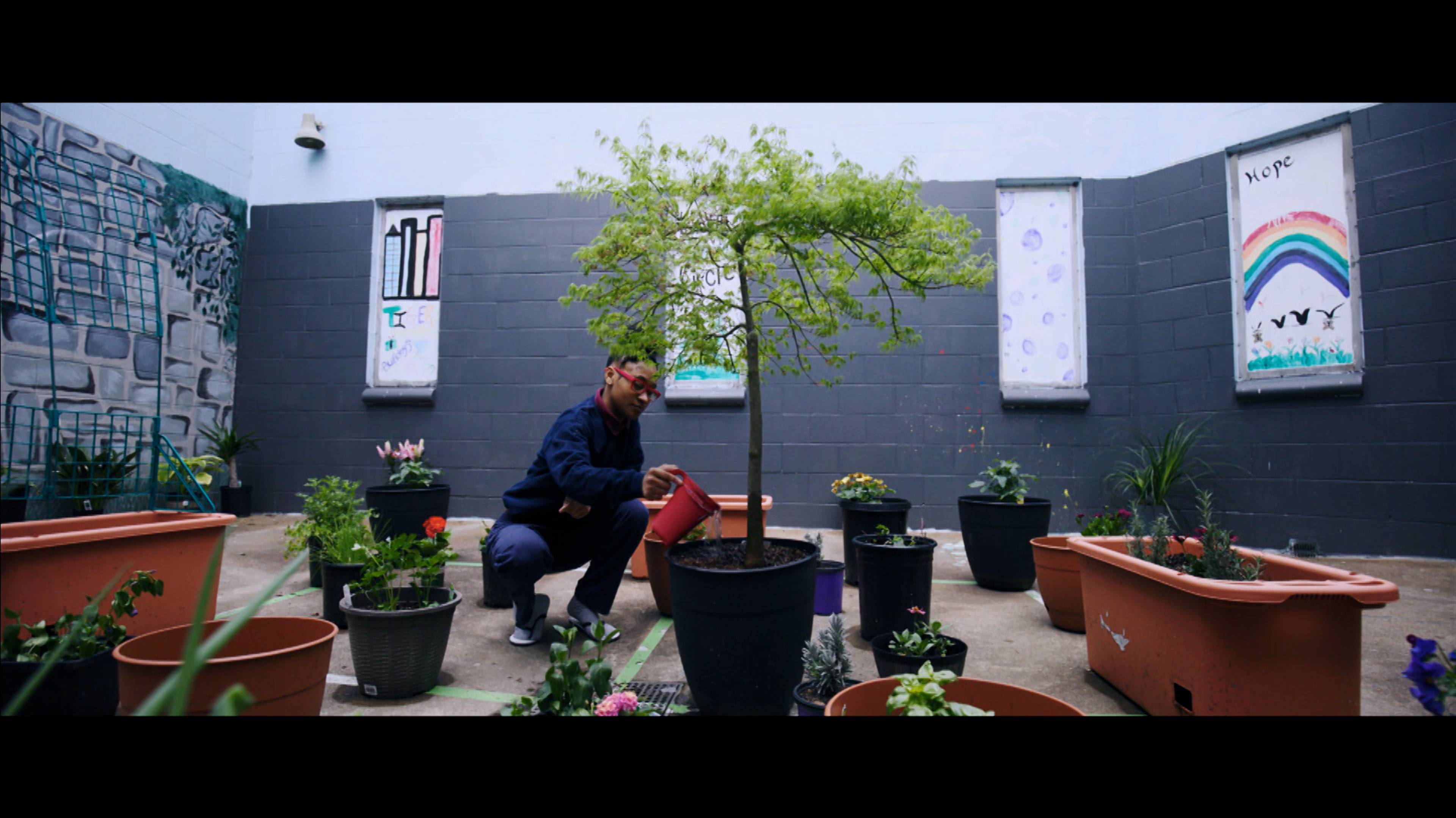 The Right to Counsel