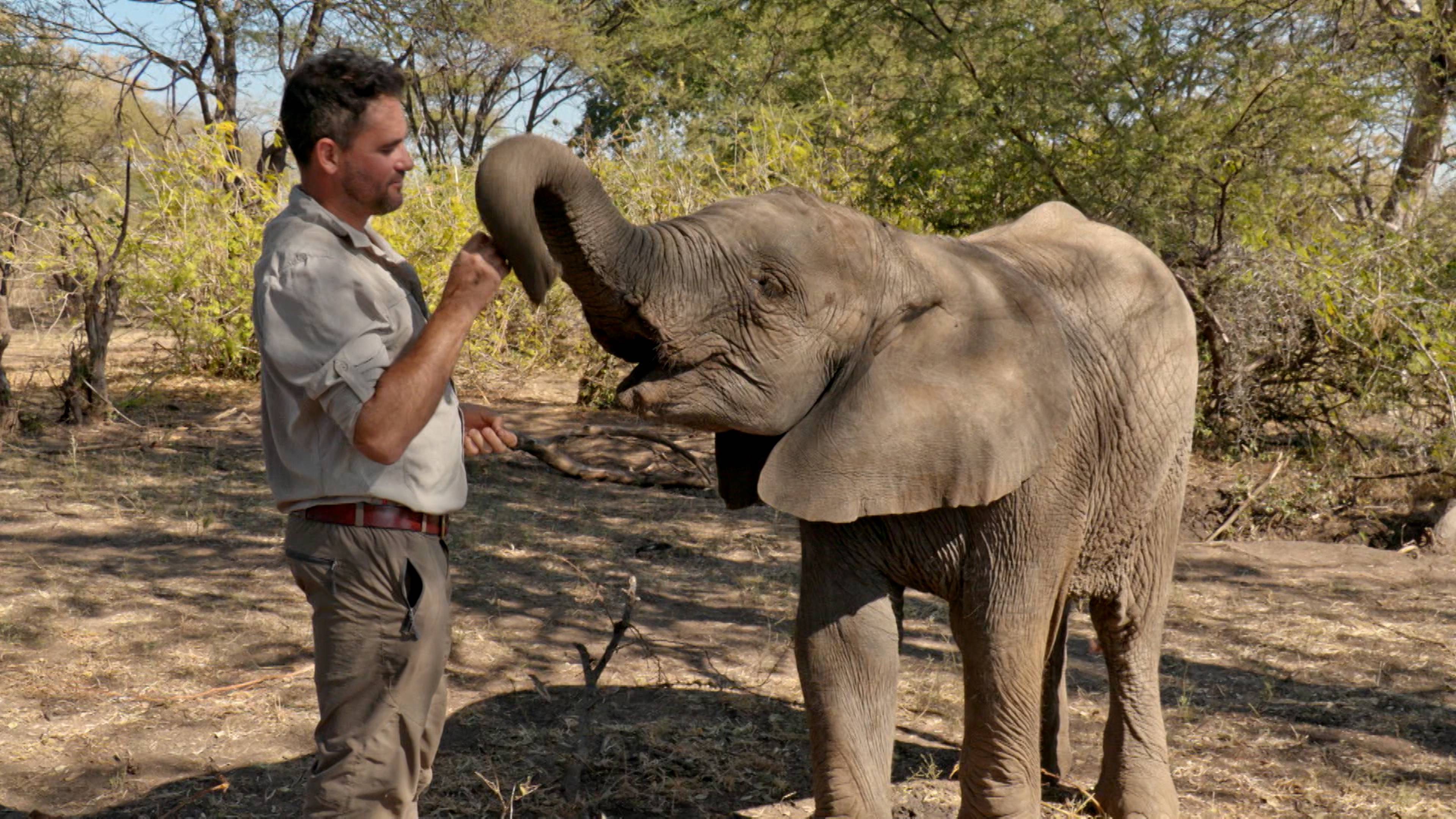 Journeys Dangerous End