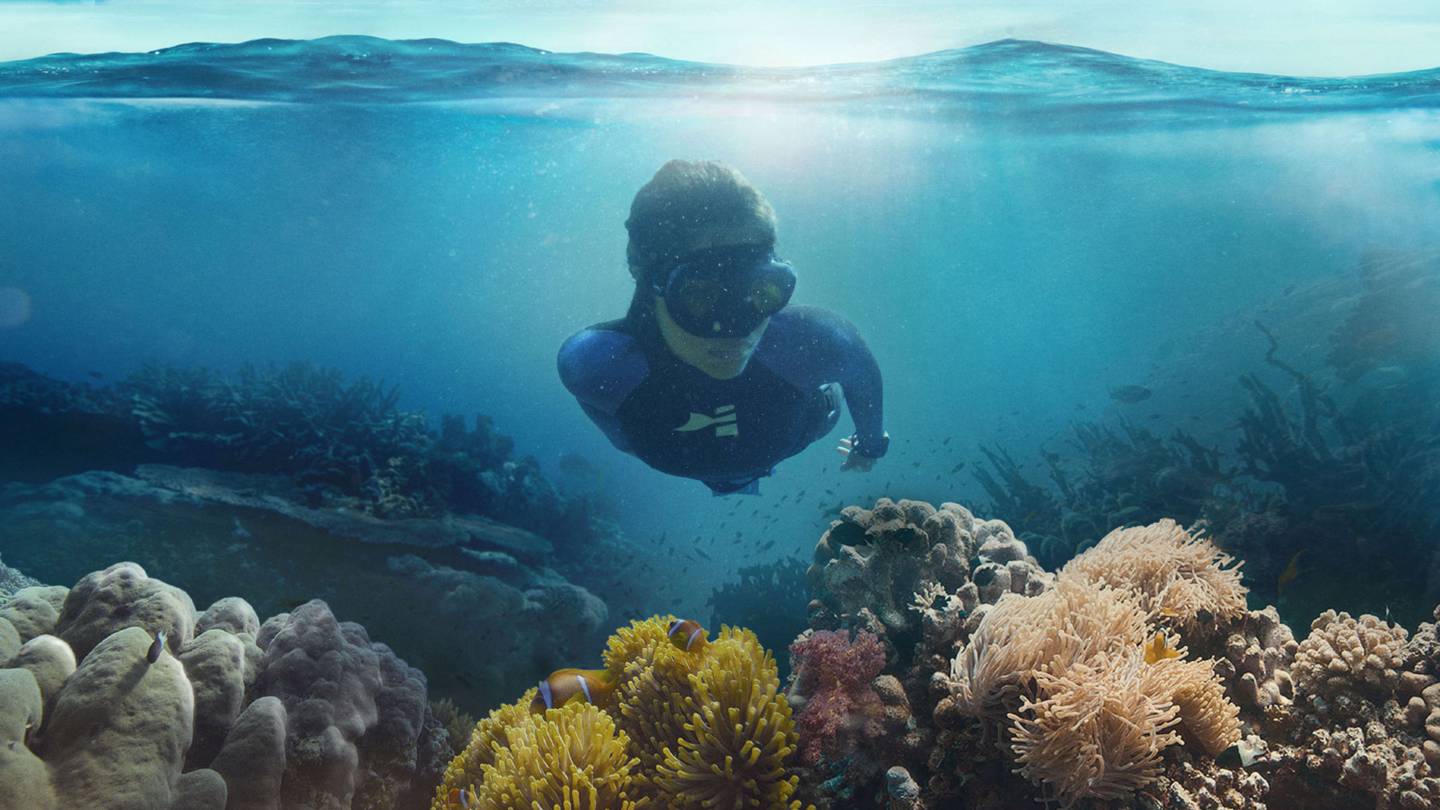 Watch Beneath The Surface The Fight For Coral Online Available In HD watch-beneath-the-surface-the-fight-for-coral-online-available-in-hd