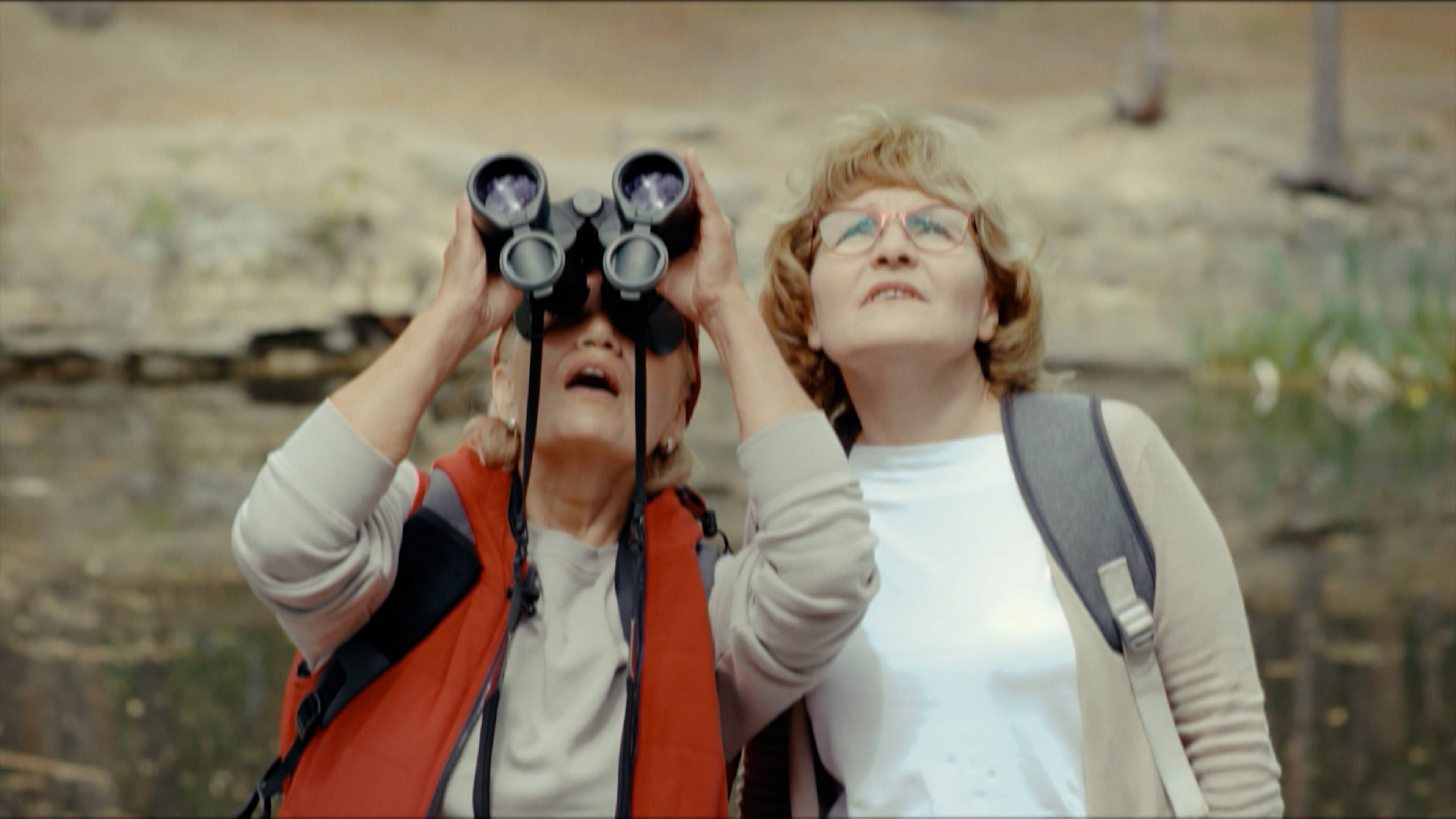 باميلا هتشينسون