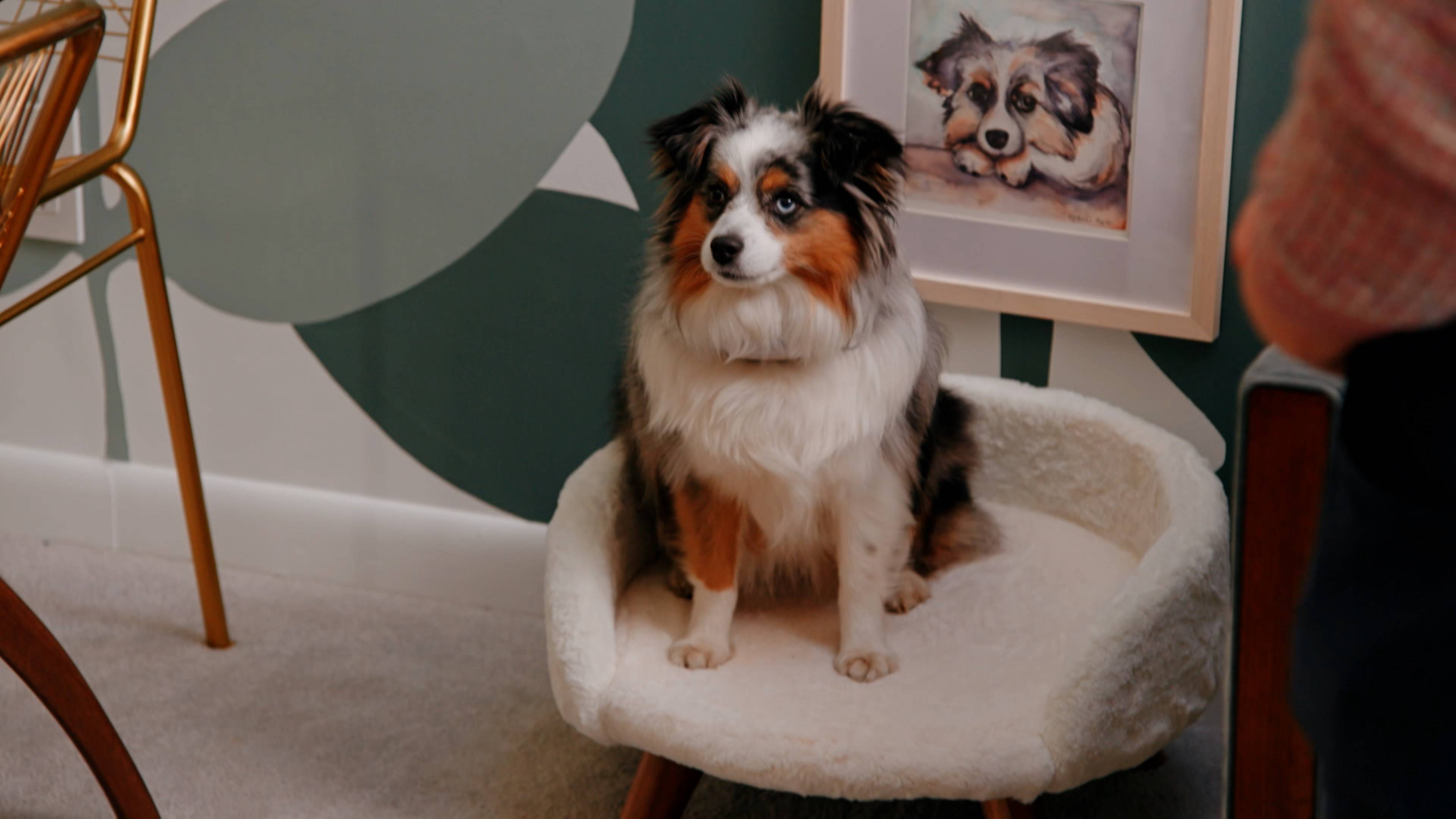 غرفة معيشة بإطلالة