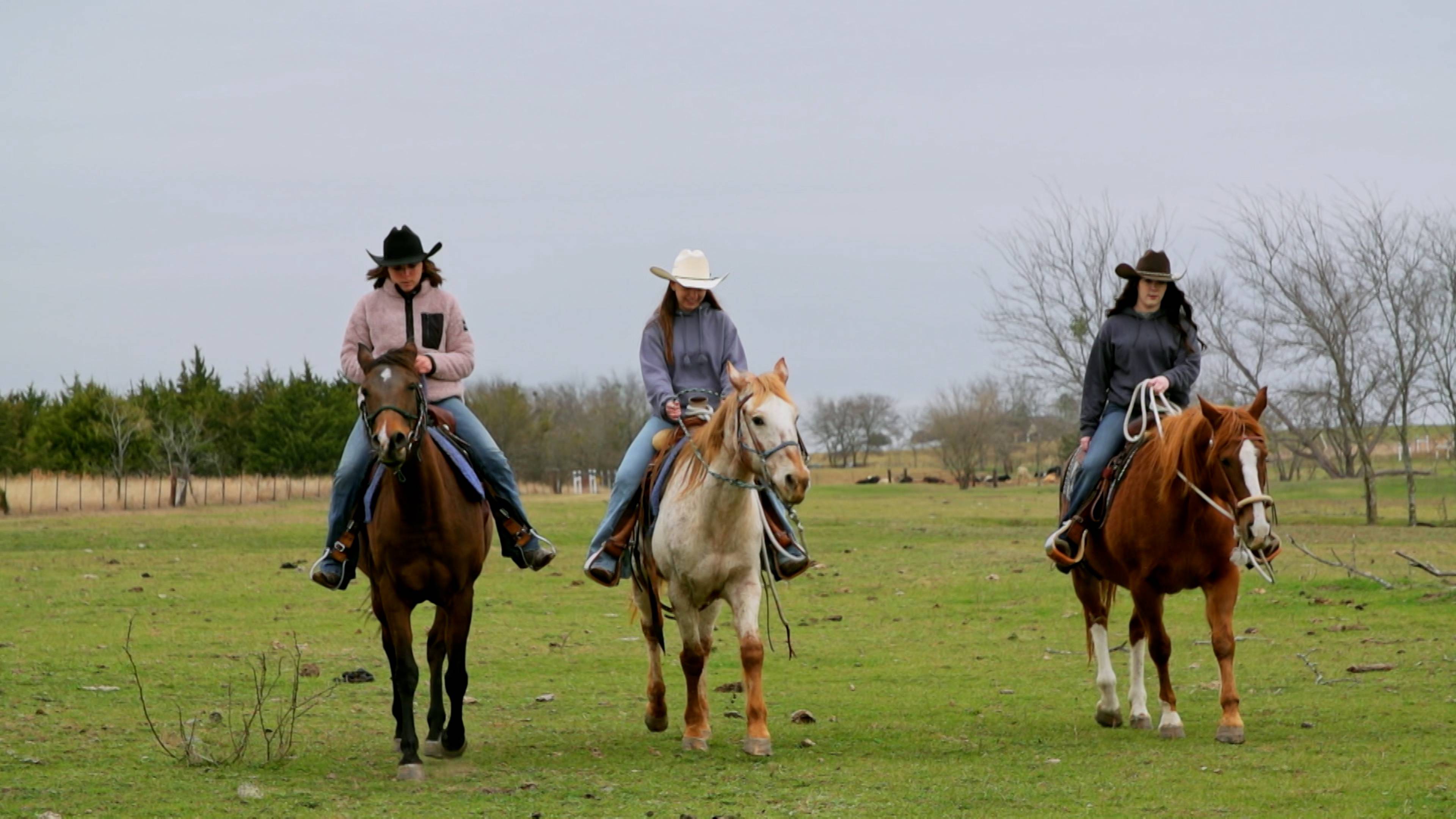 All My Stresses Live In Texas