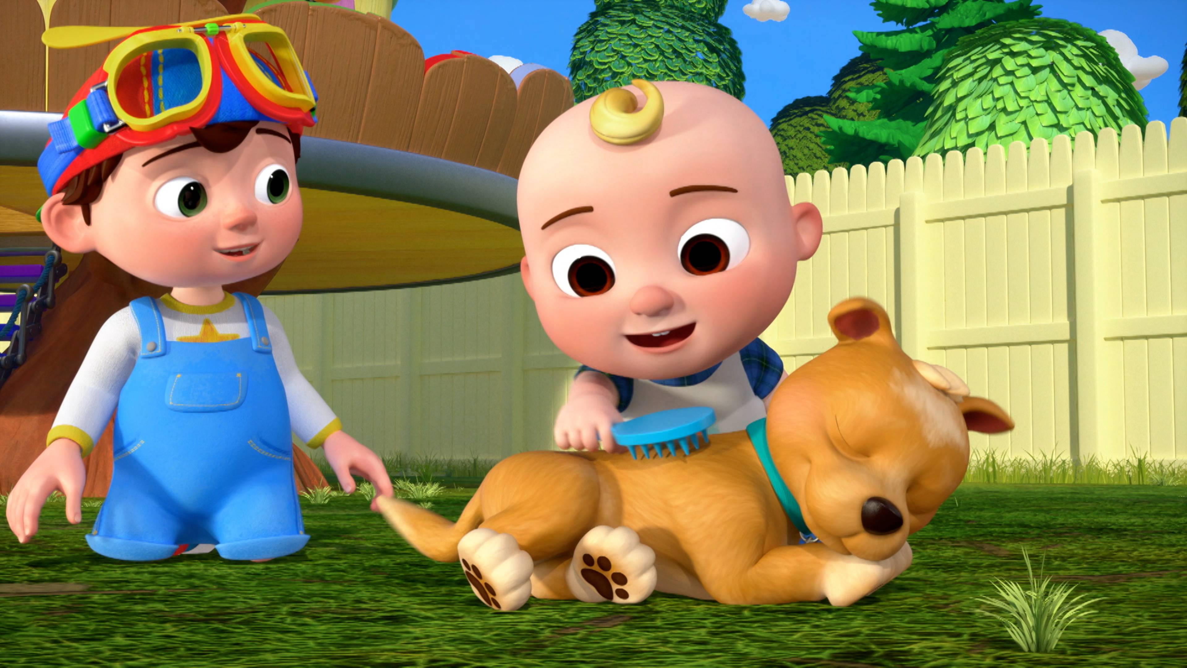 This is the Way Doggie Care