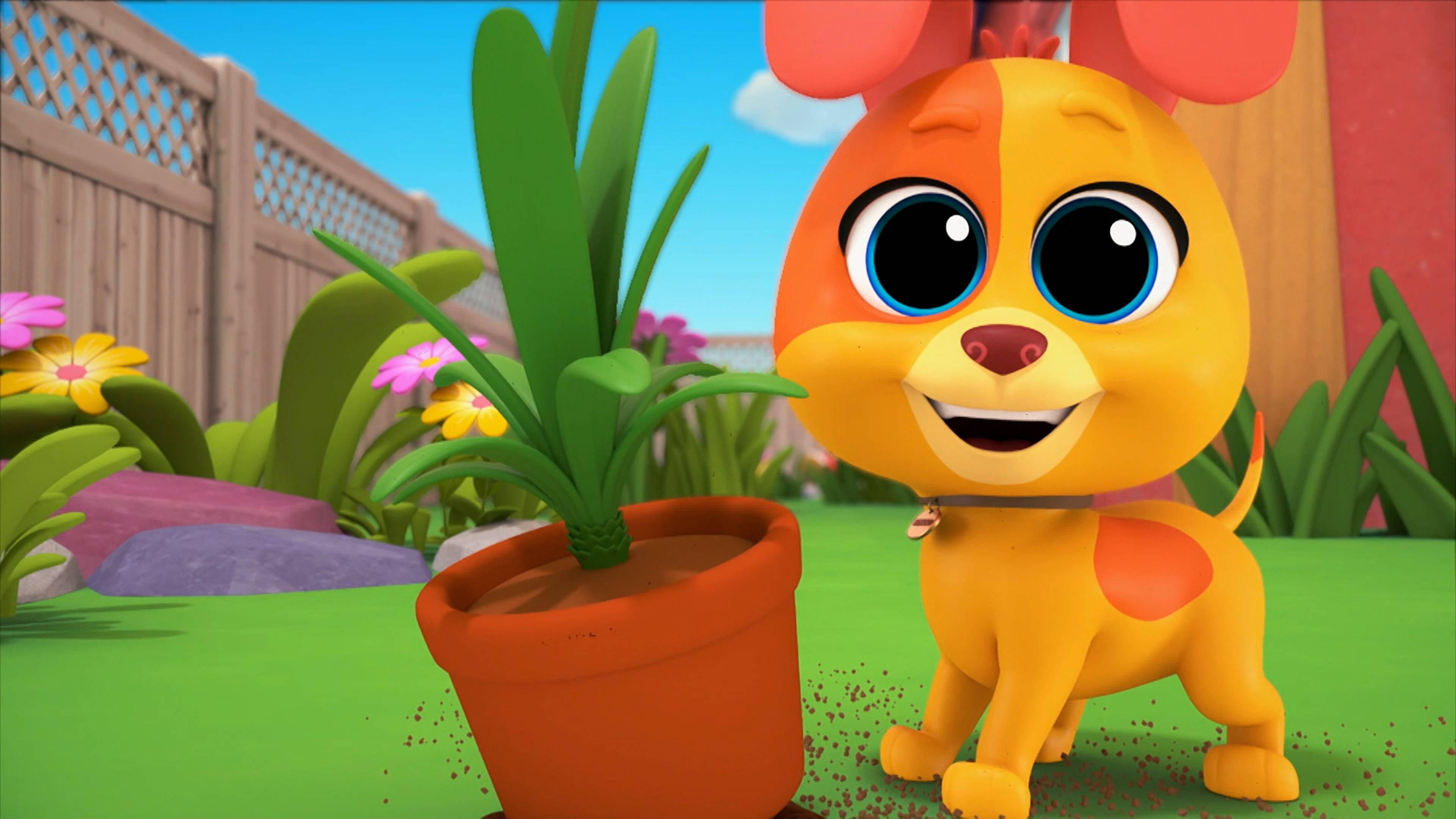 وير إز ماي سوزي؟