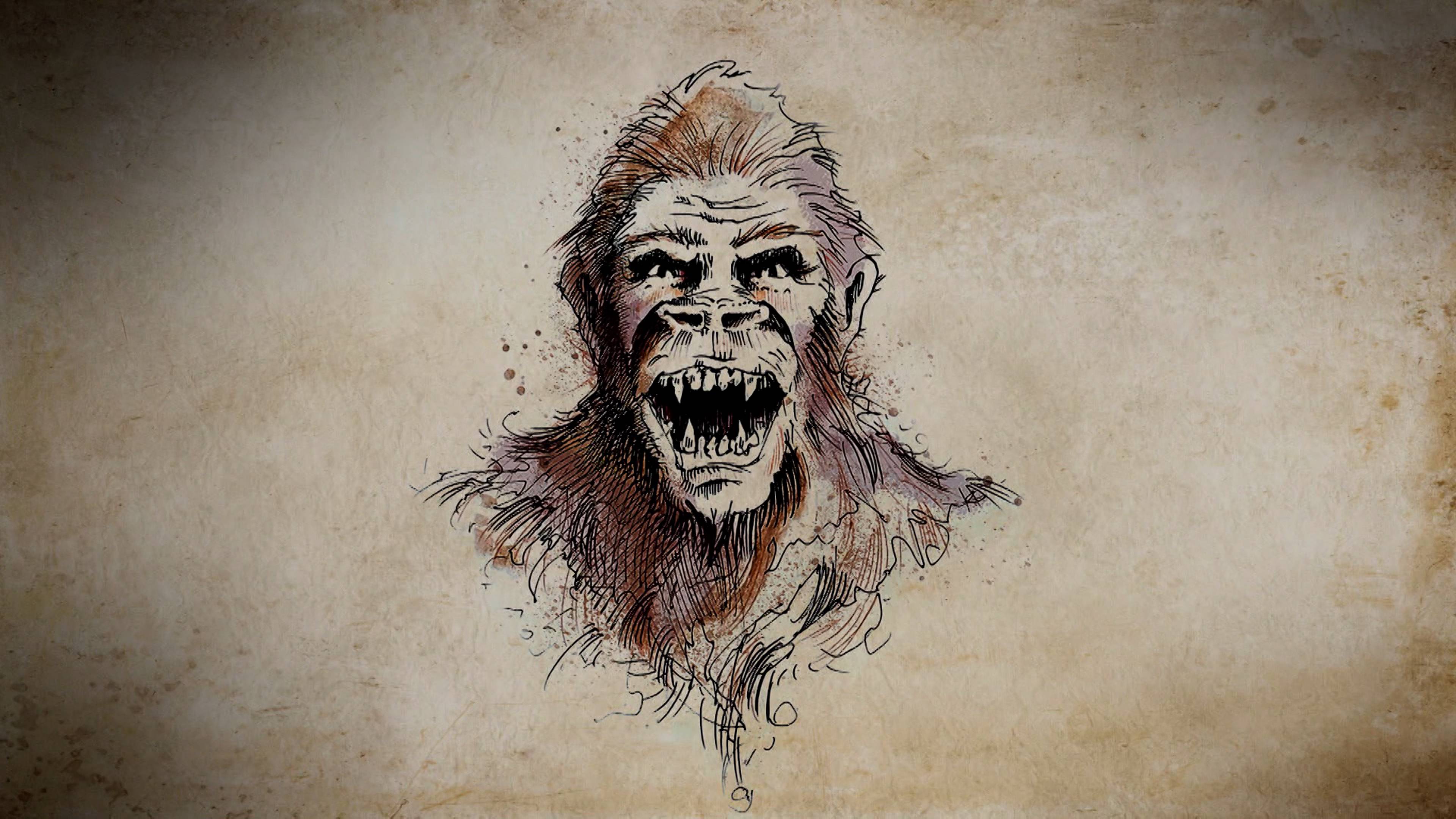 لغز الرجل البري - مينيسوتا