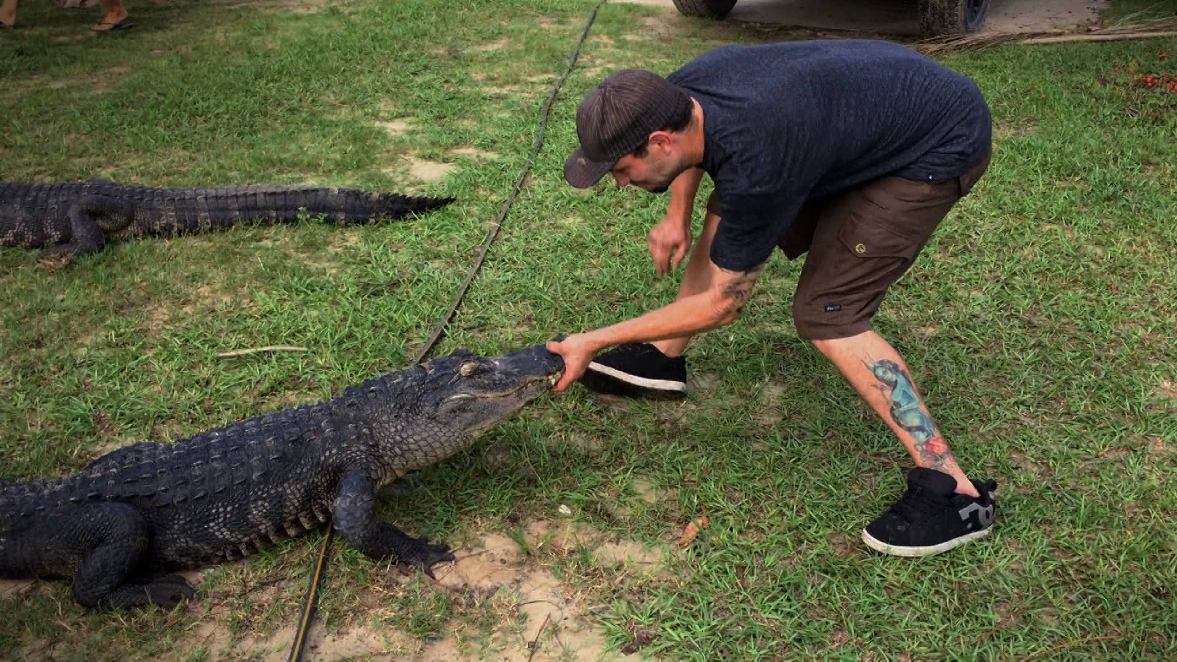 تنين الكهف - أركنساس