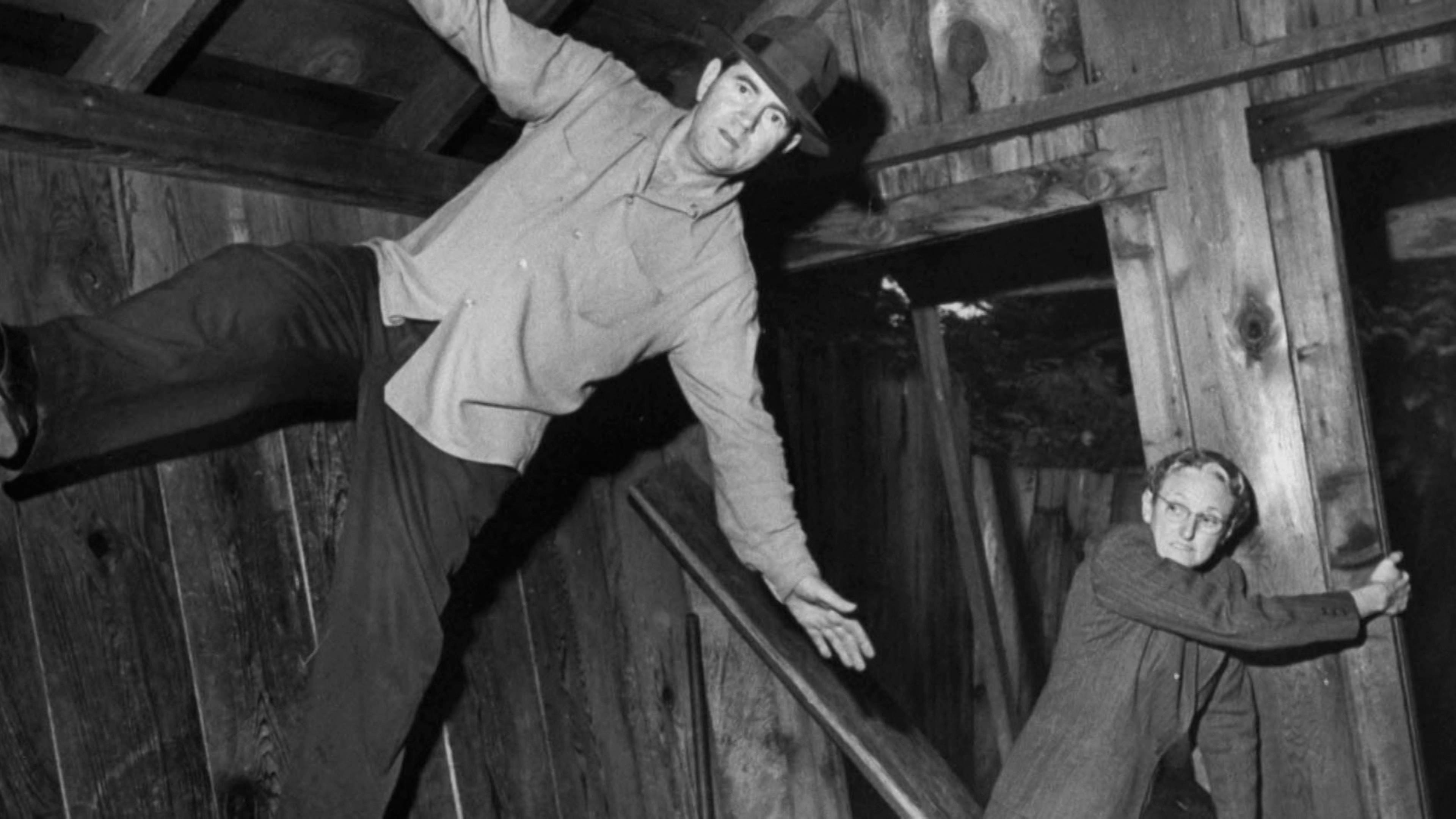 Beastly Howls, Hollowman Air Force Base UFO