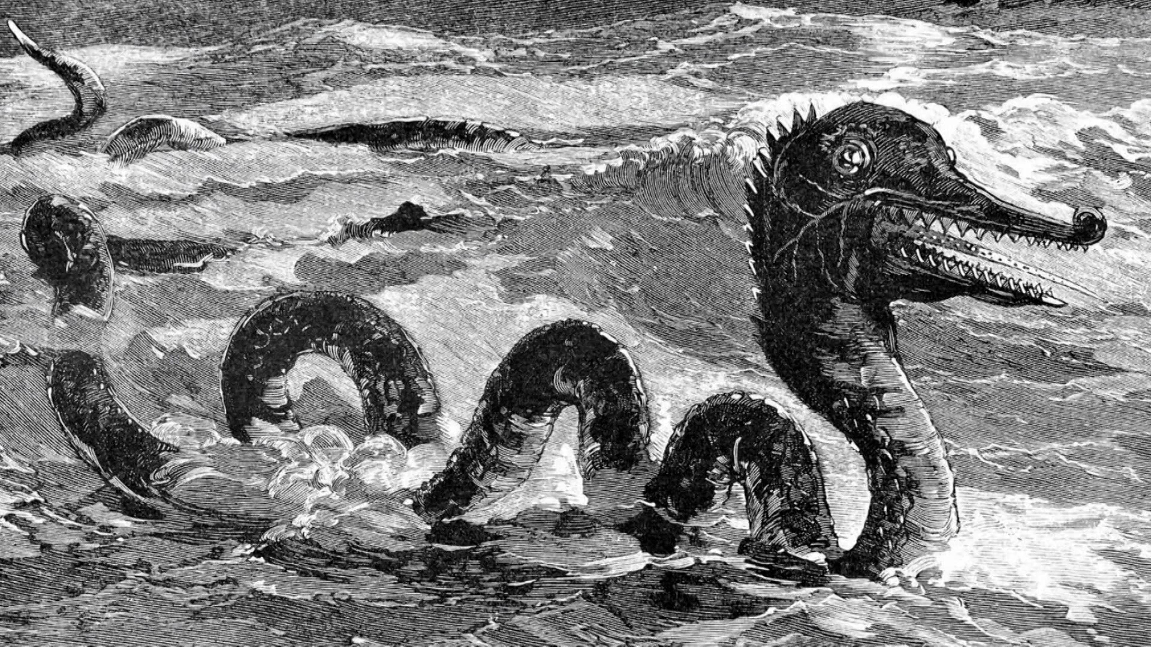 Caddy The Cadborosaurus, The Lubbock Lights,