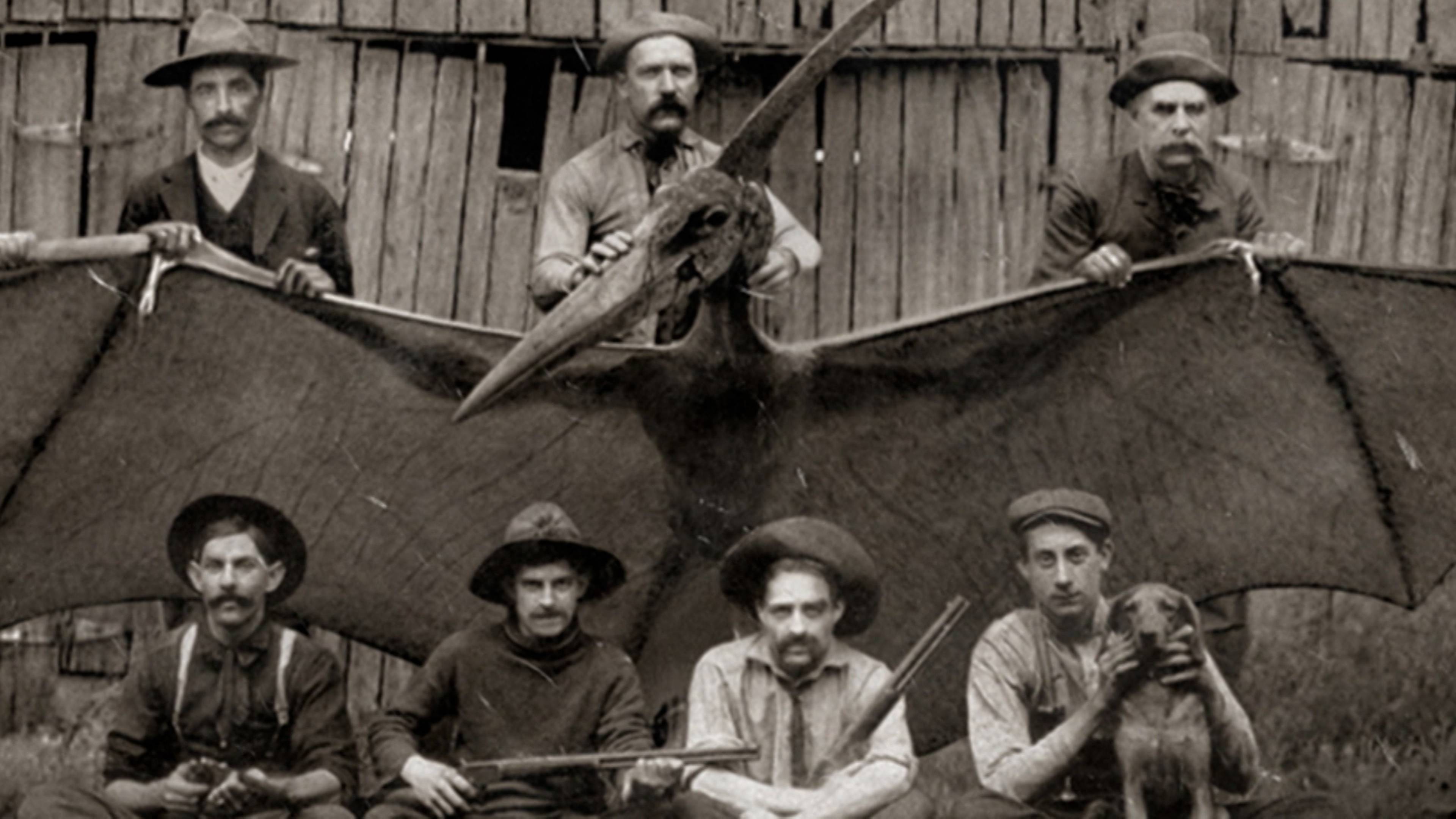 Teen Ufo, Flying Dinosaur Over Idaho ...