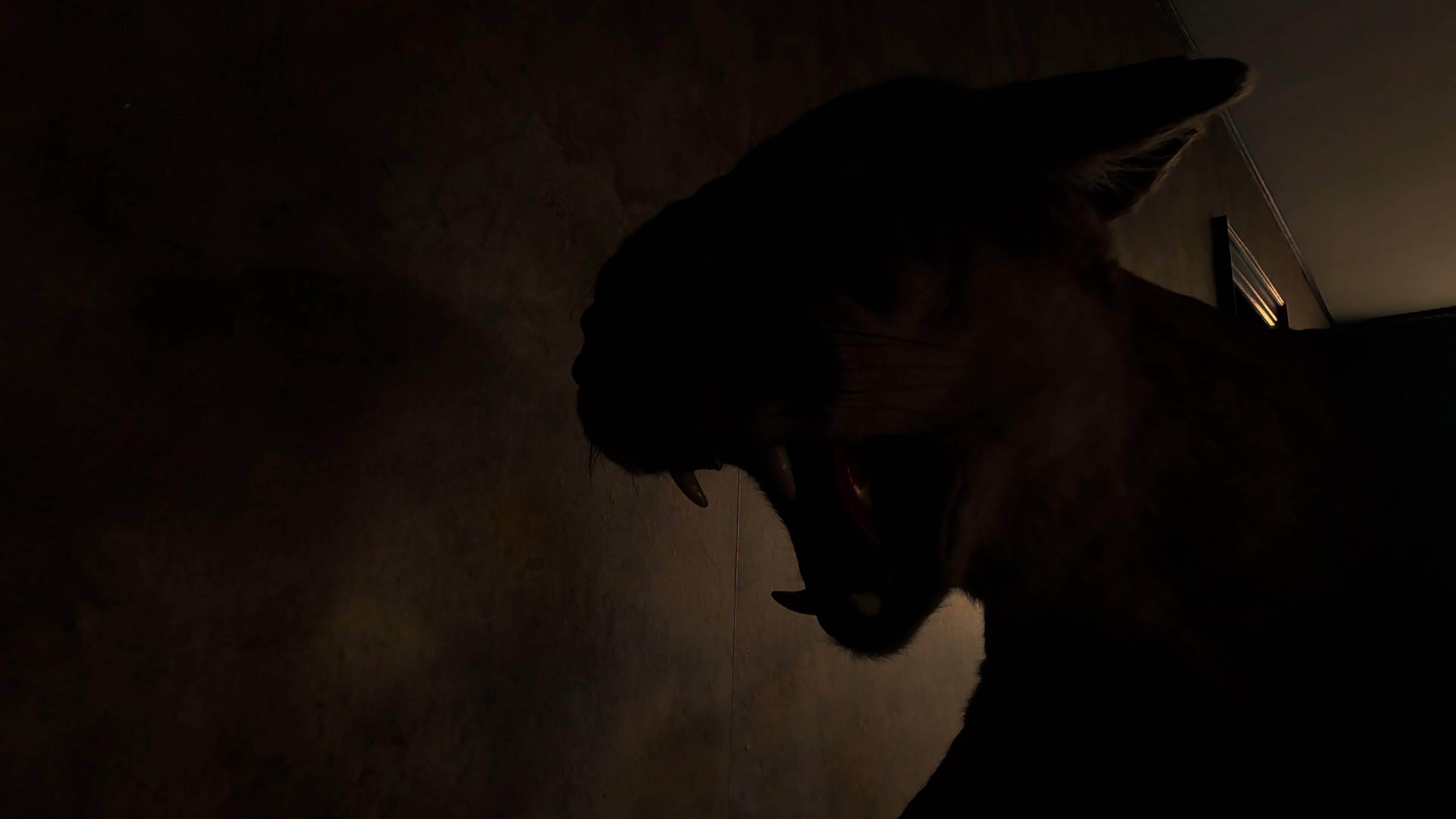 وحش في المنجم