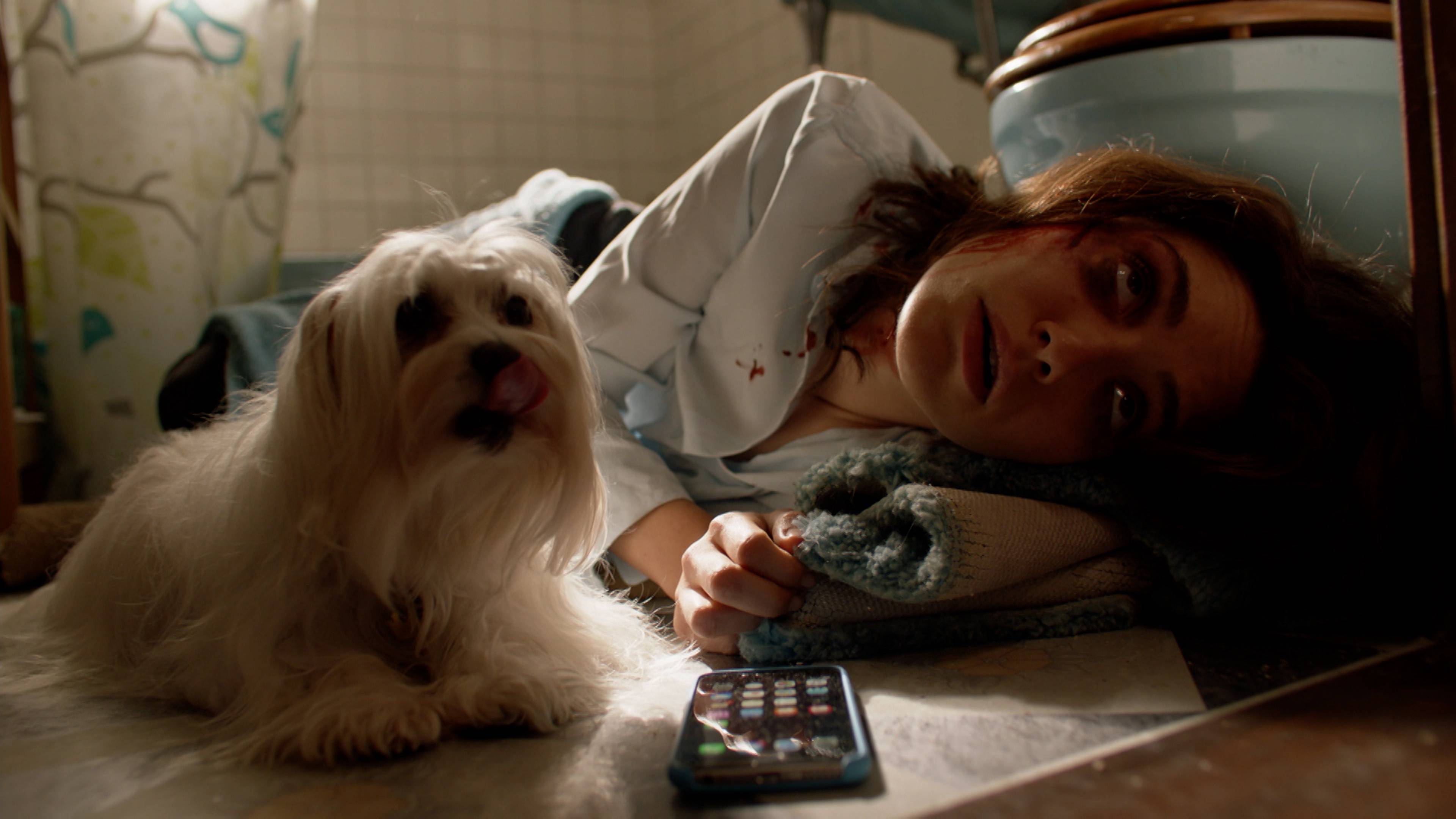 Down like the Titanic