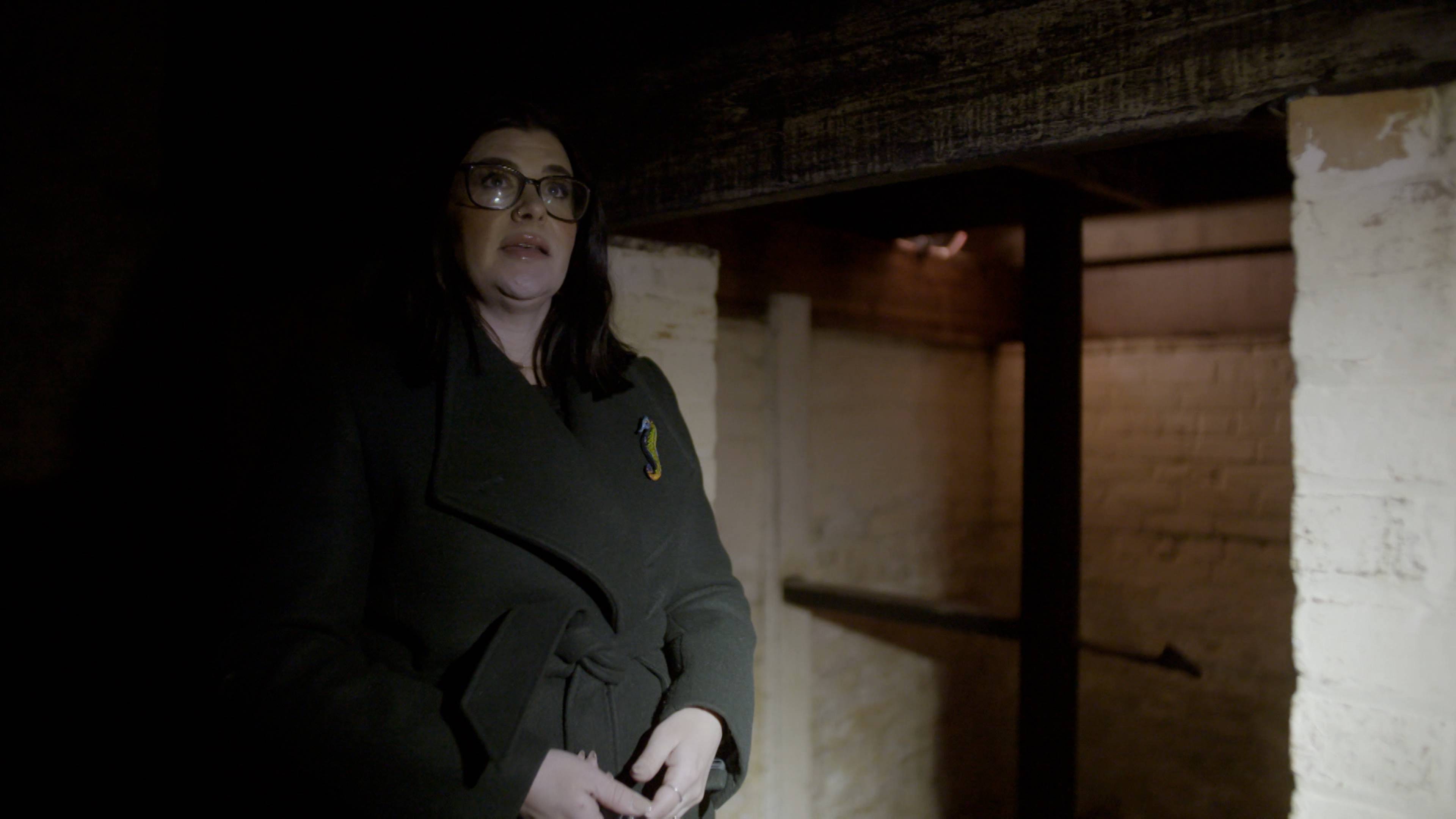 The Convict Penitentiary