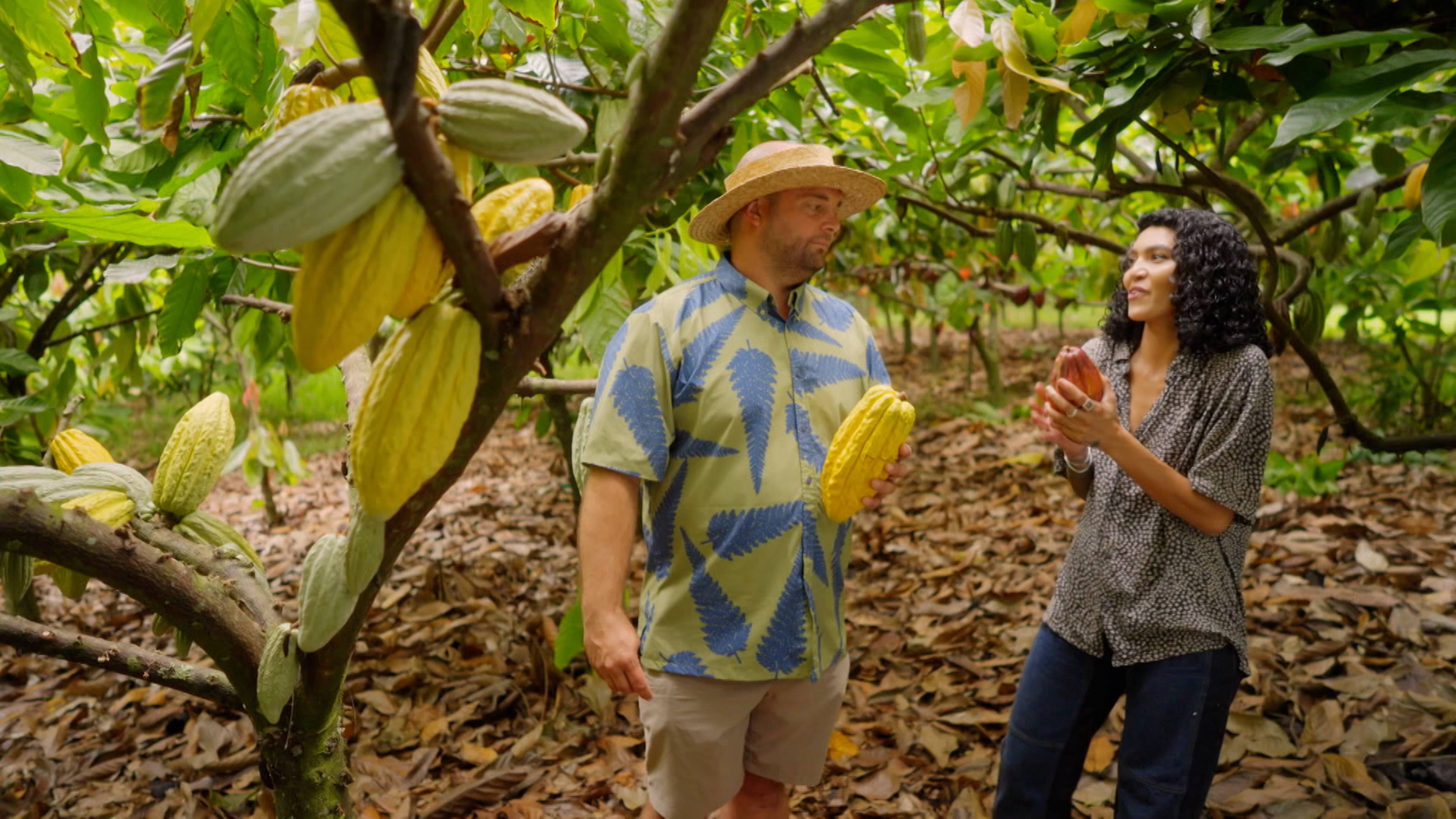 Is Chocolate a Neglected Lover