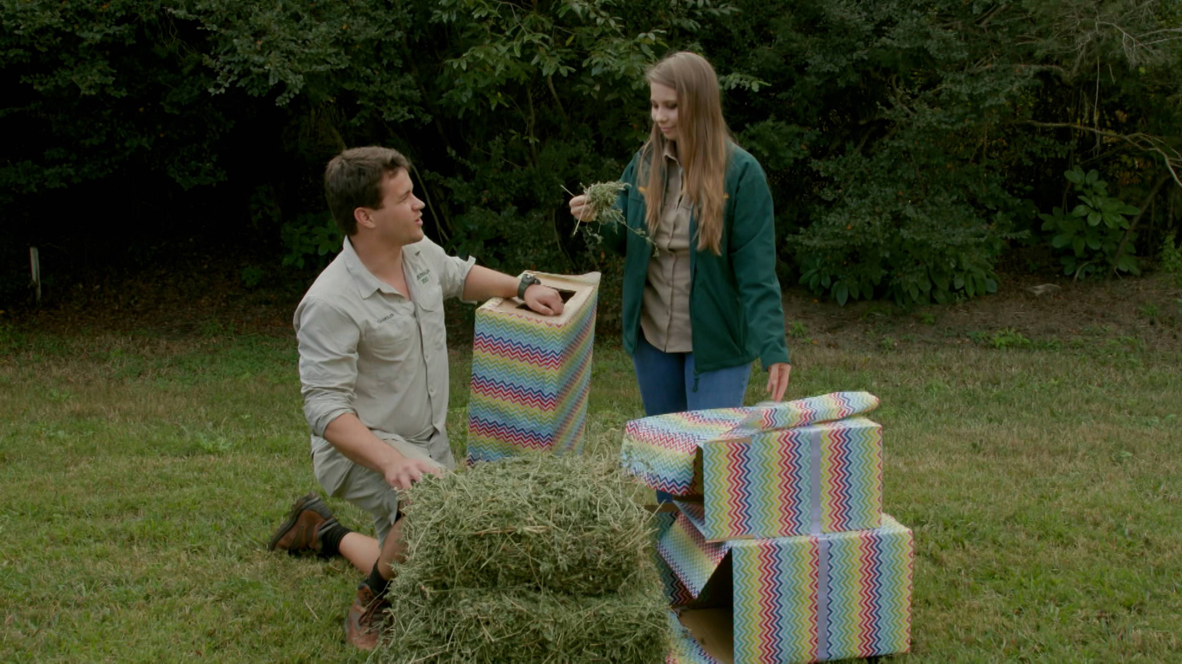 A Baby Giraffe’s Tall Order