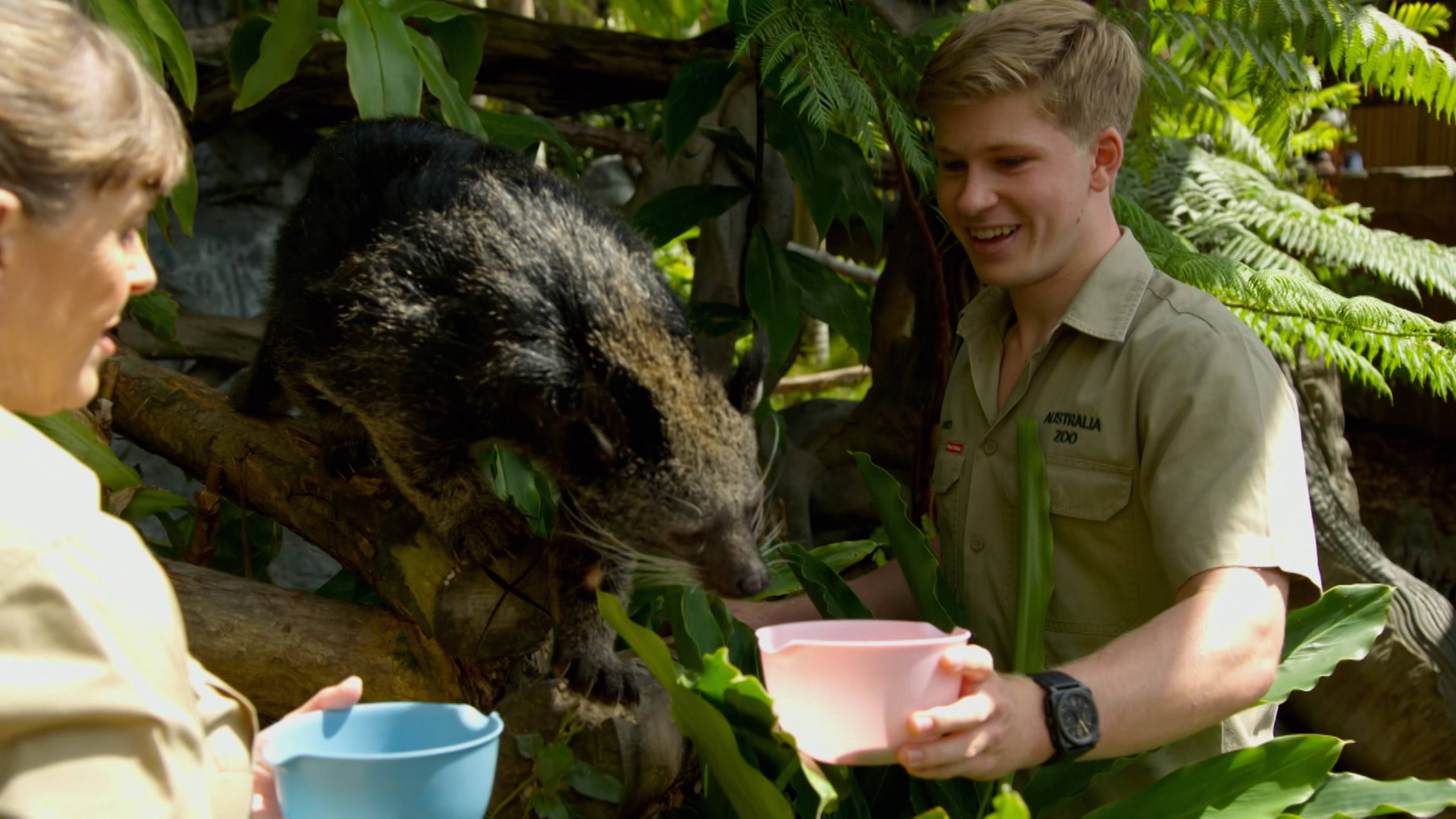 Backyard Croc Rescue