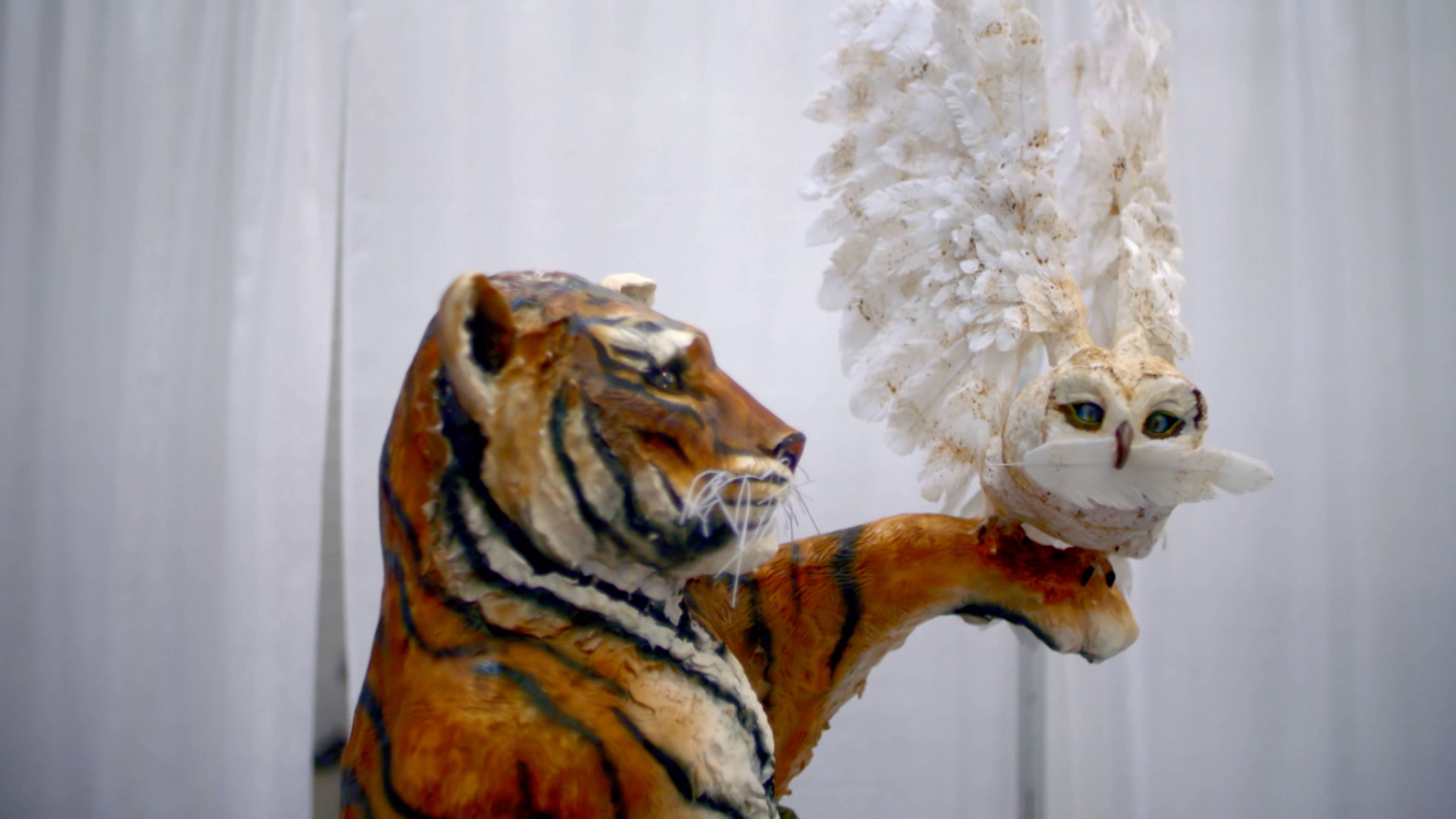 الفوز ثم الفوز ثم الفوز