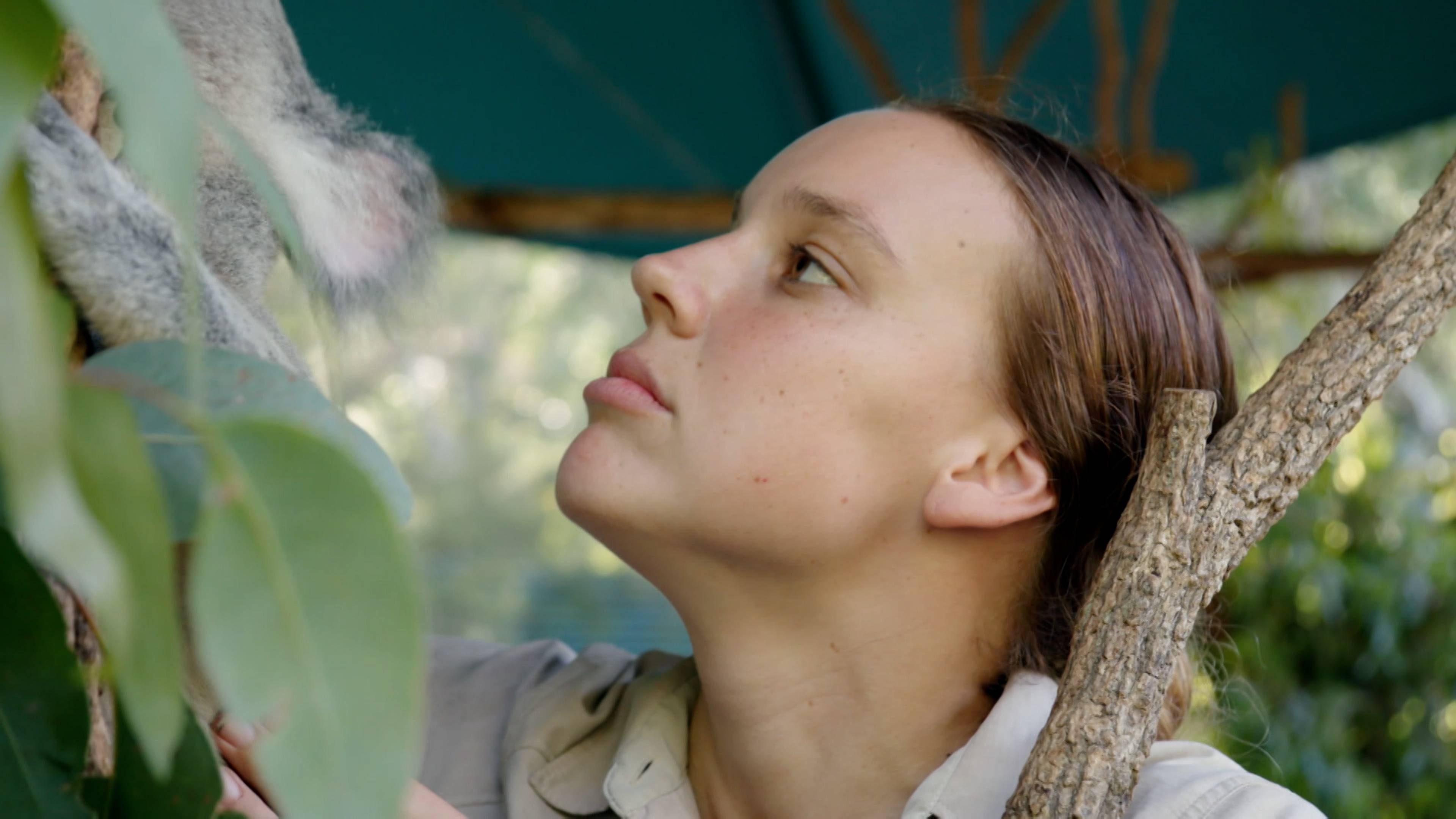 Bosco the Croc's Big Move