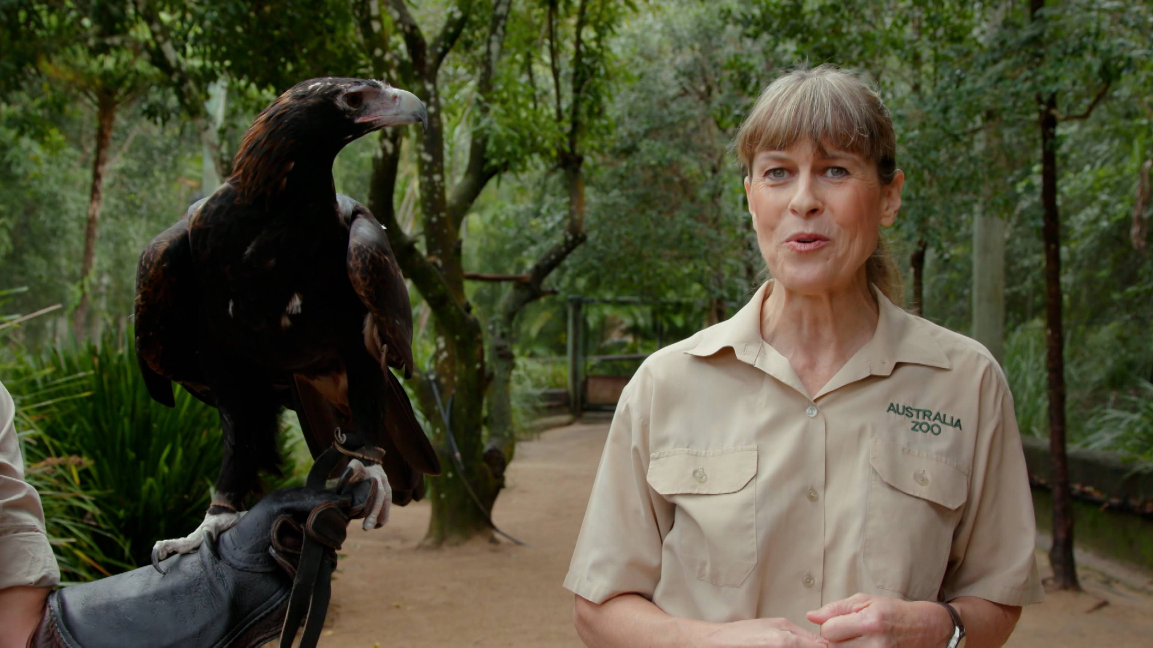 Robert’s Python Swim