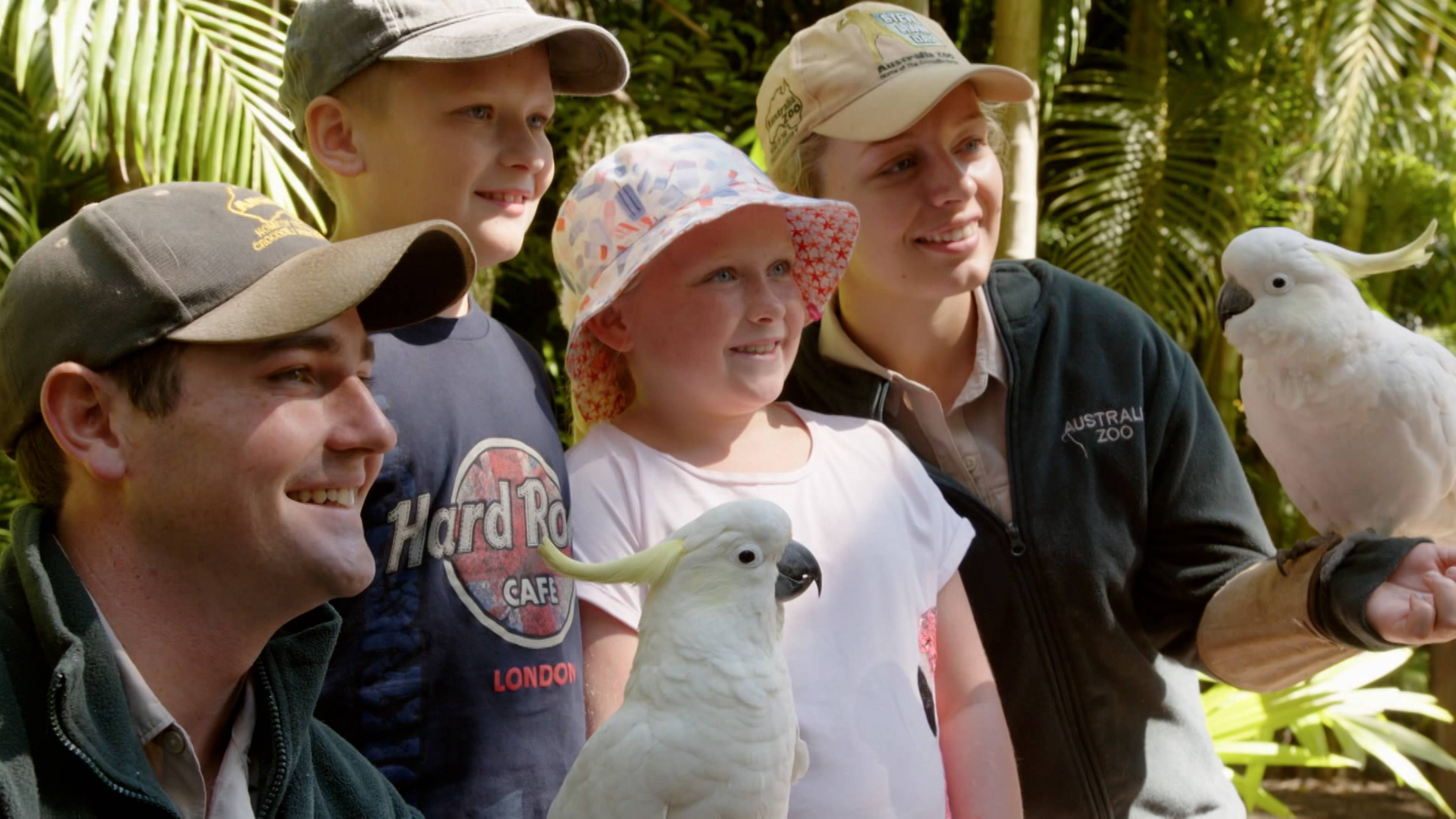 Crocodile Love Story