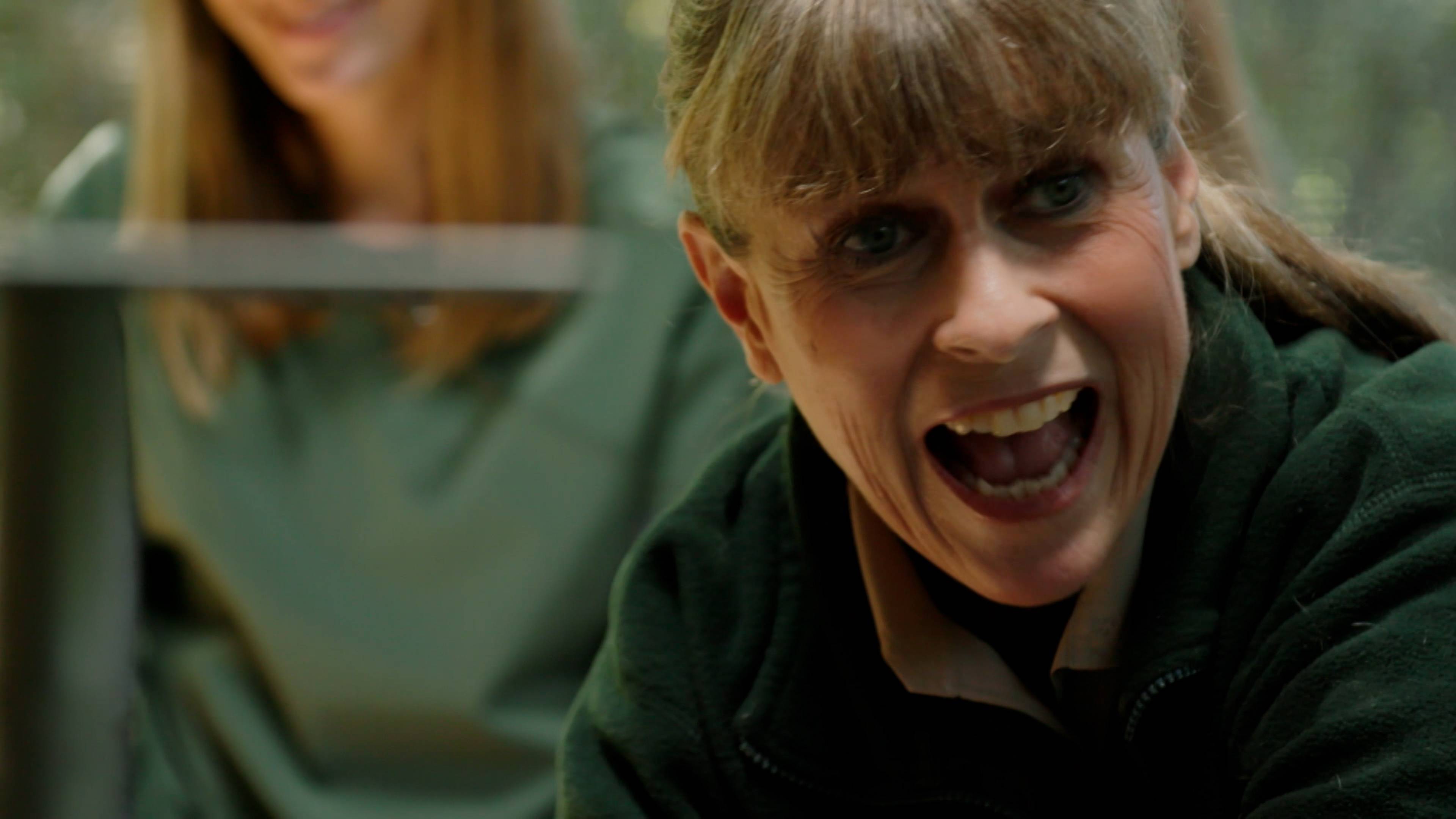 Oscar the Grouchy Frogmouth