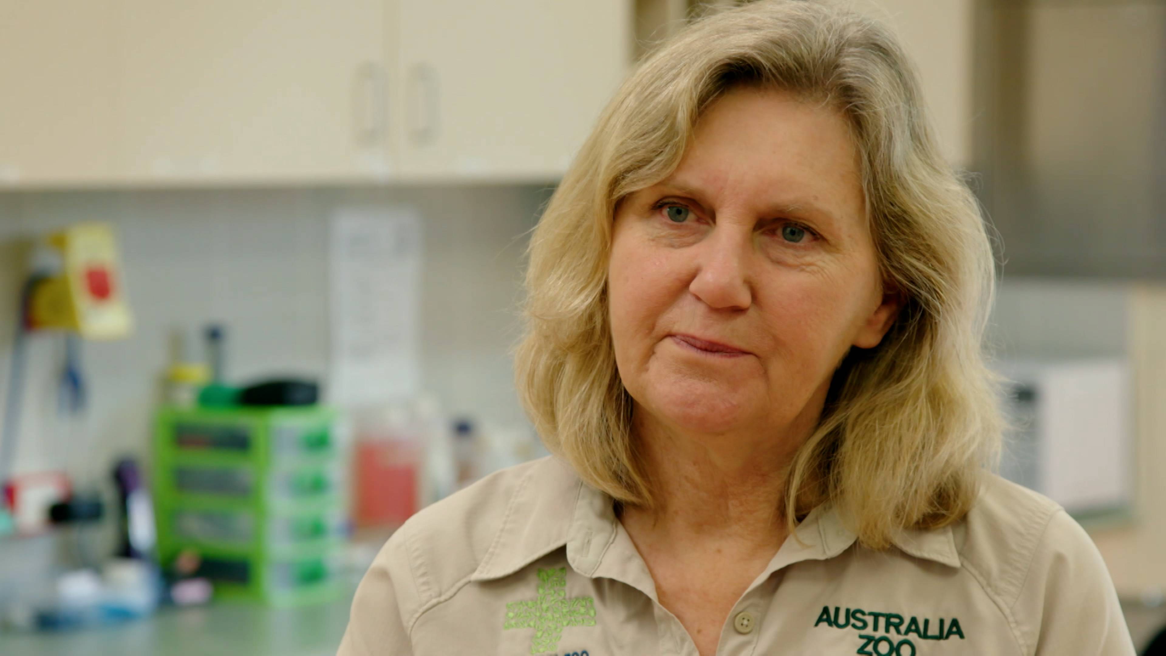 Robert’s Alligator Feeding