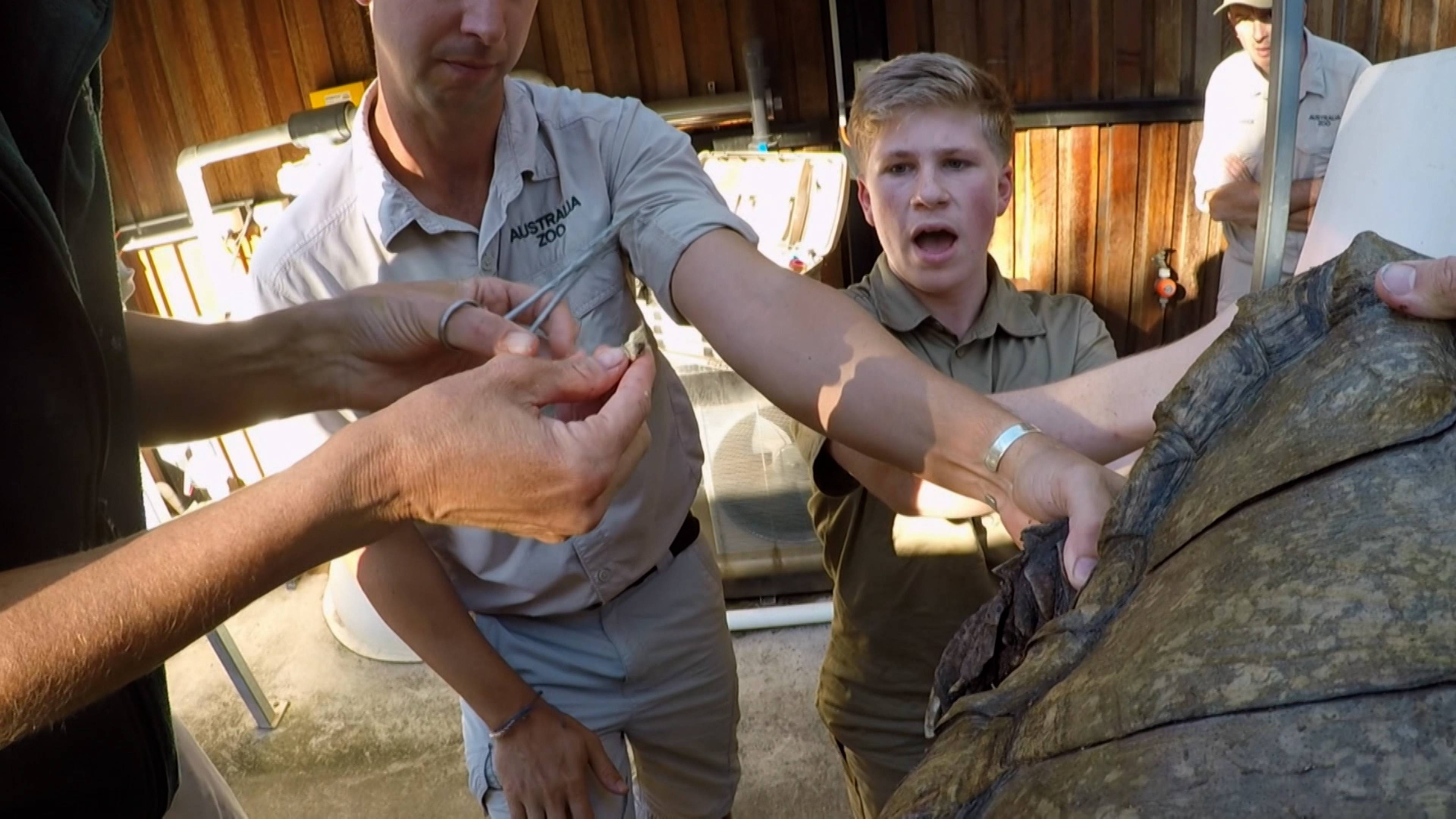 Bindi's Lemur Island