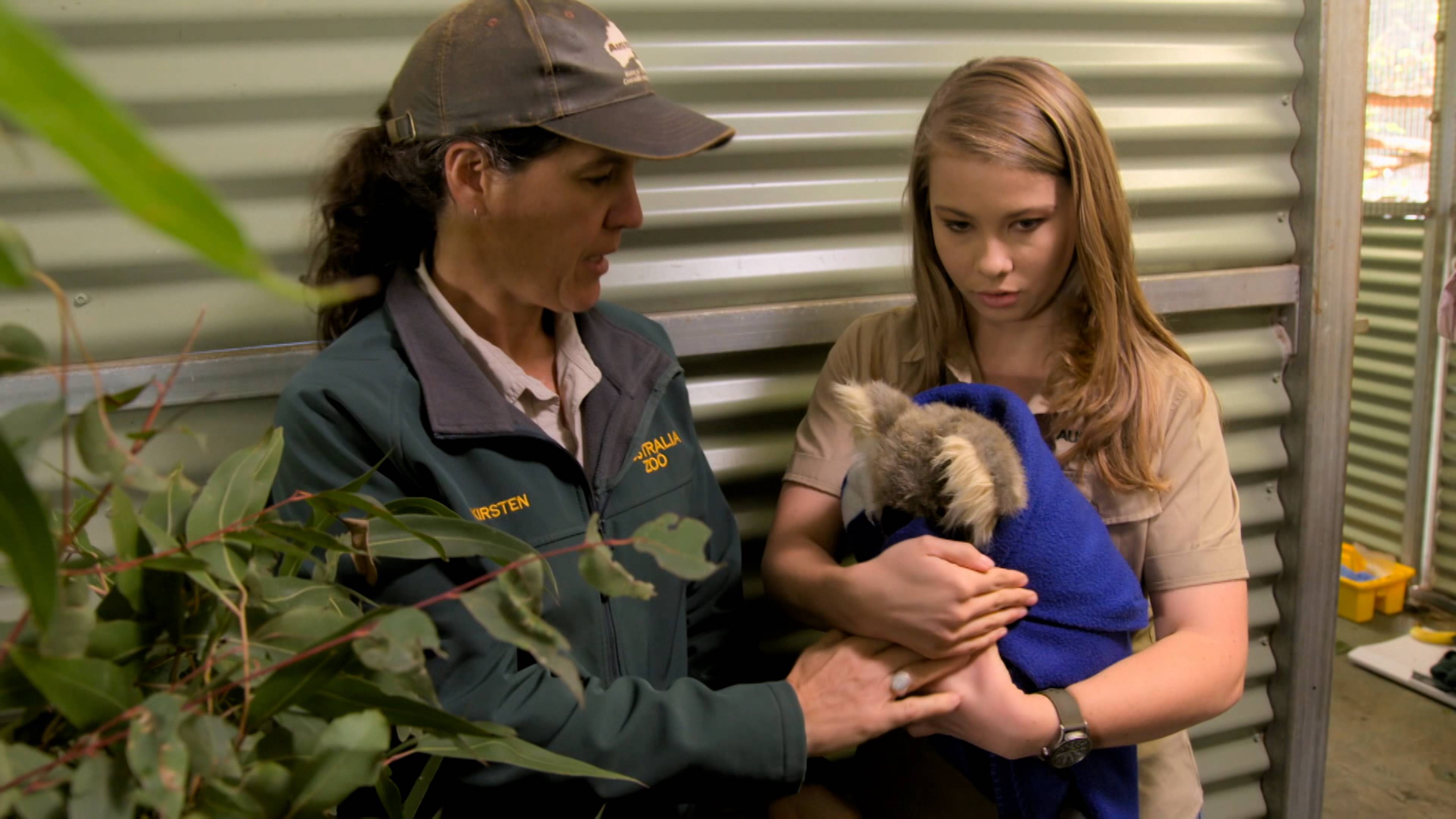 Race to Save the Platypus