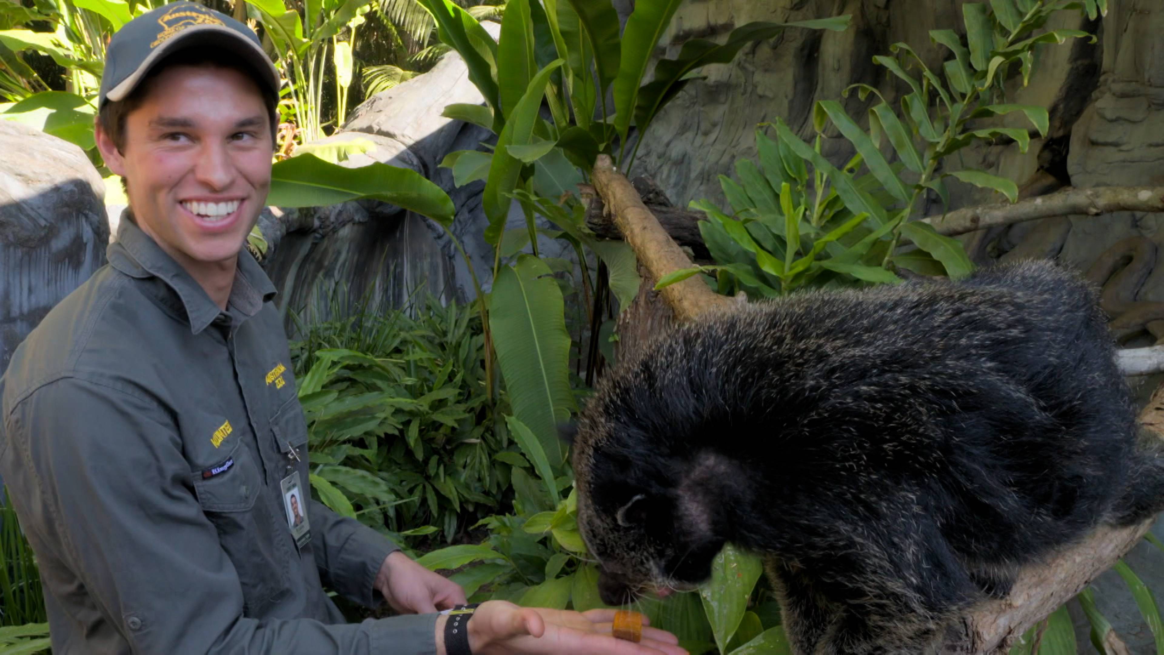 Bindi and the Otters