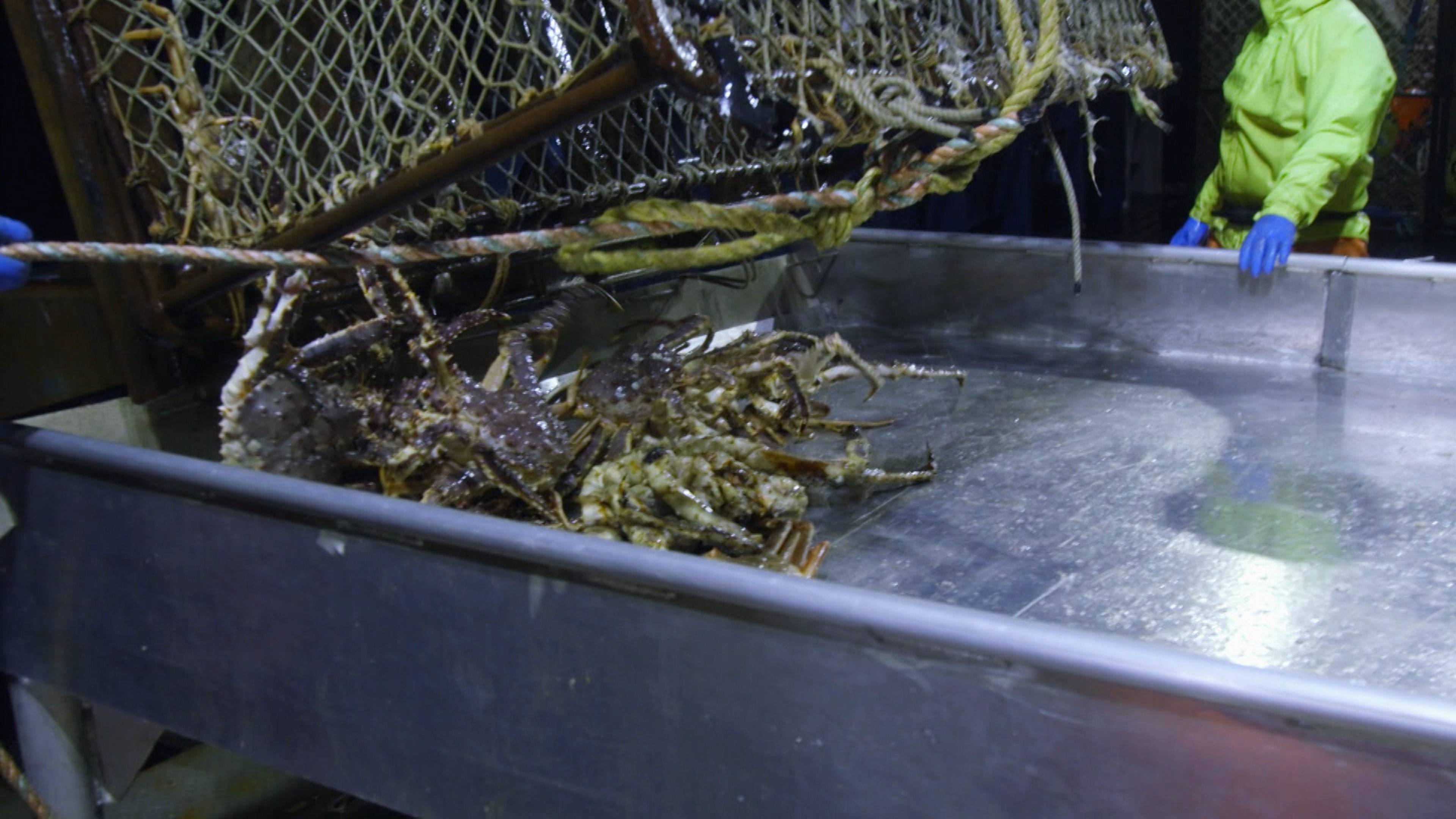 أراضٍ غير مستكشفة