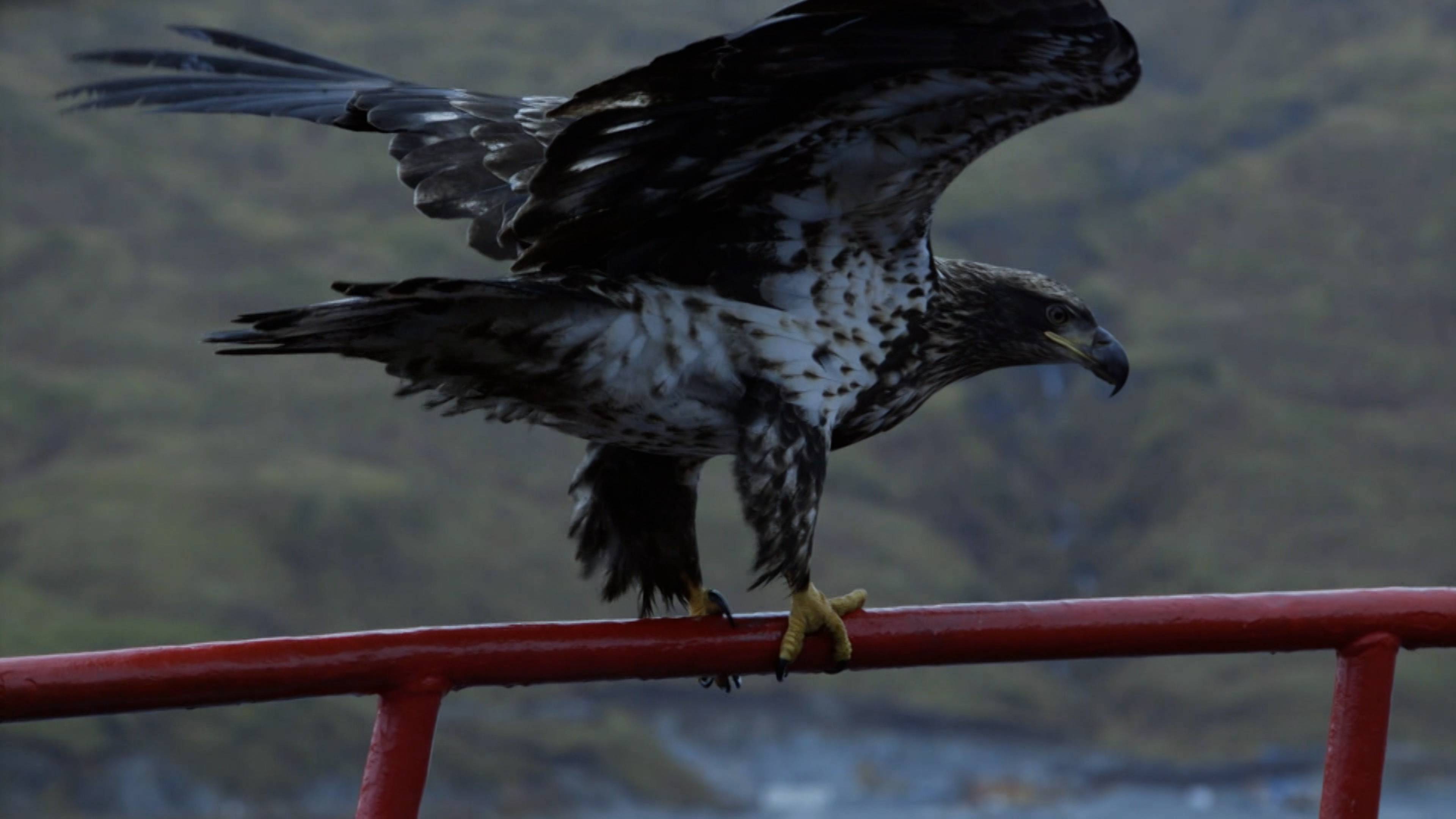 سُمم في البحر