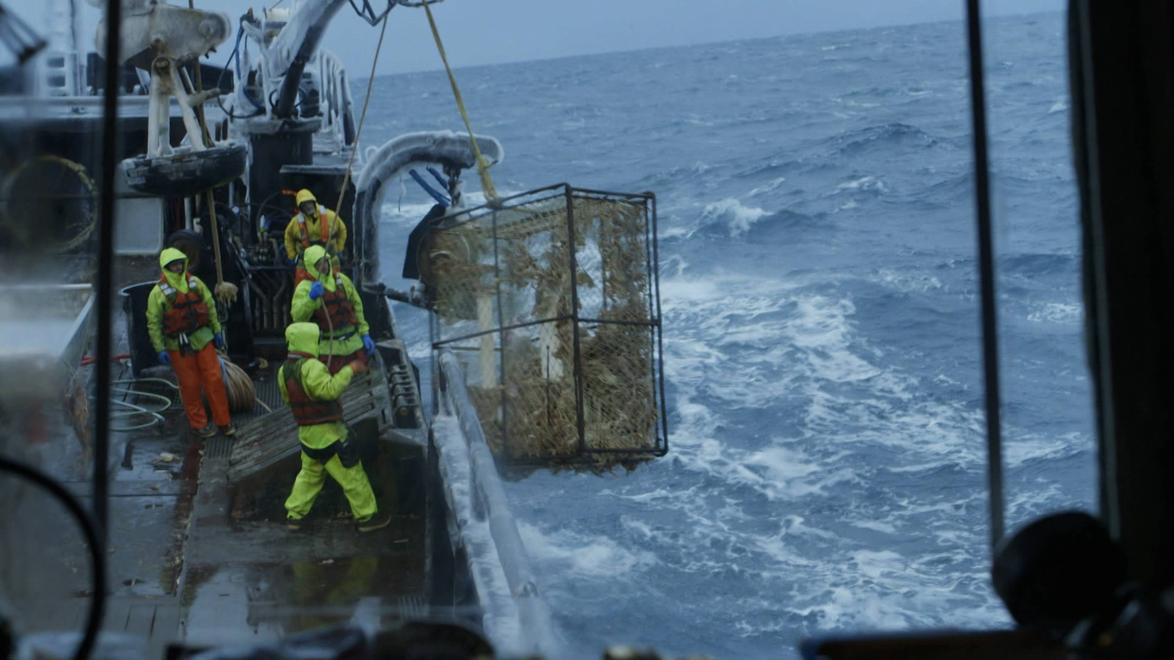 آخر صيد لهيلستراند