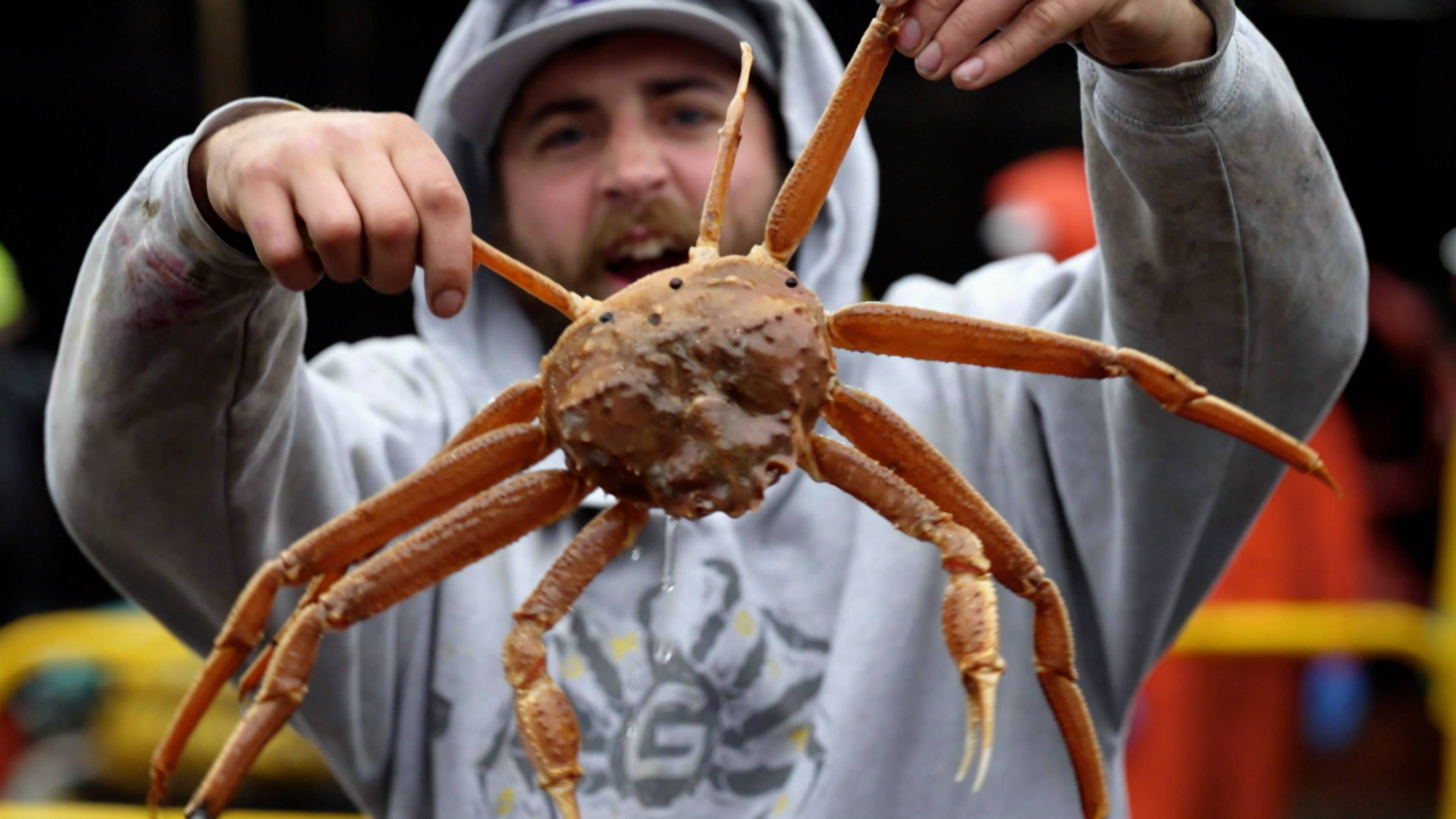 بحاجة إلى إنقاذ