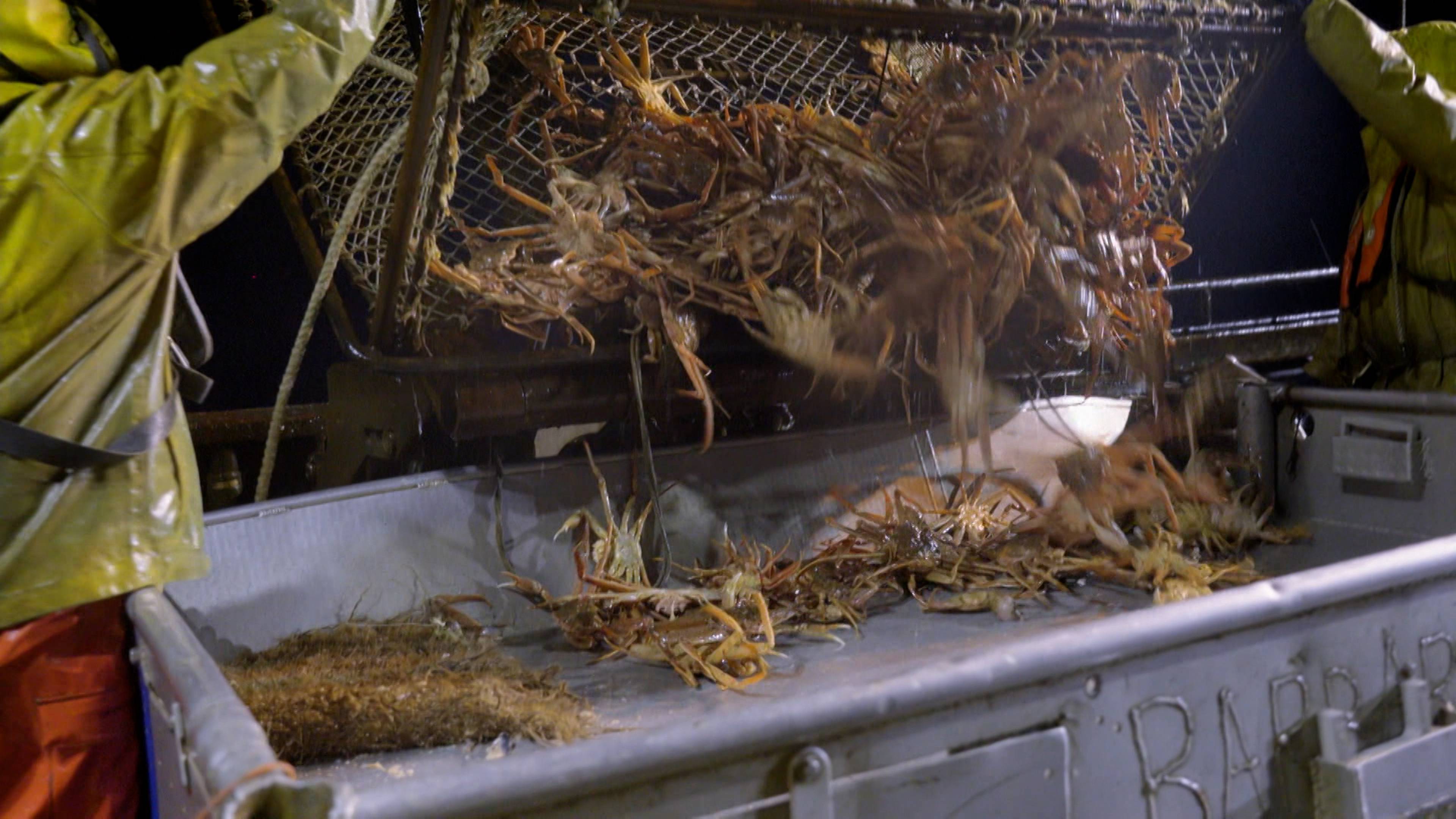 إدارة الغضب