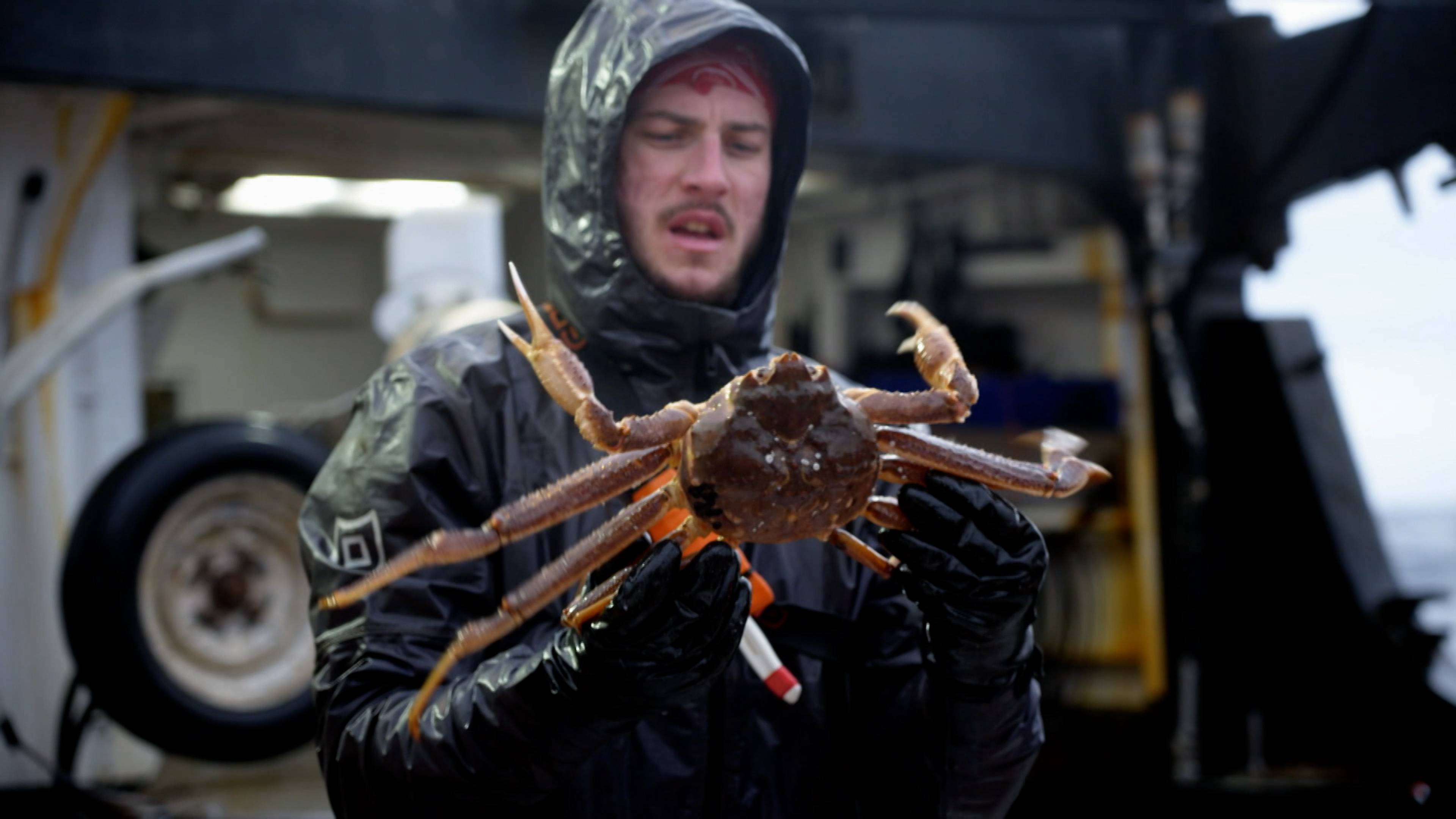 سفينة حربية